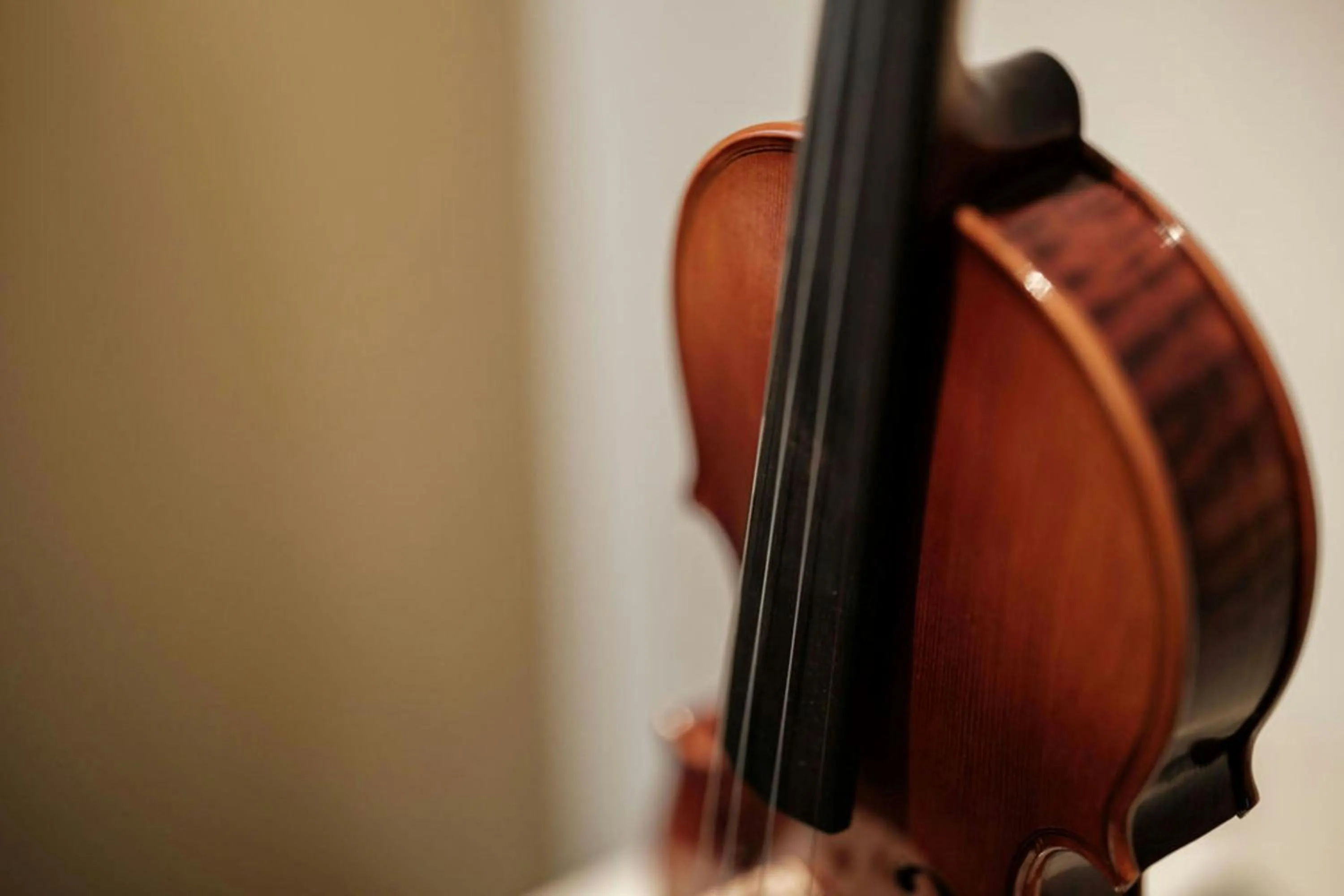 Photo of the whole room in The Ritz-Carlton, Vienna