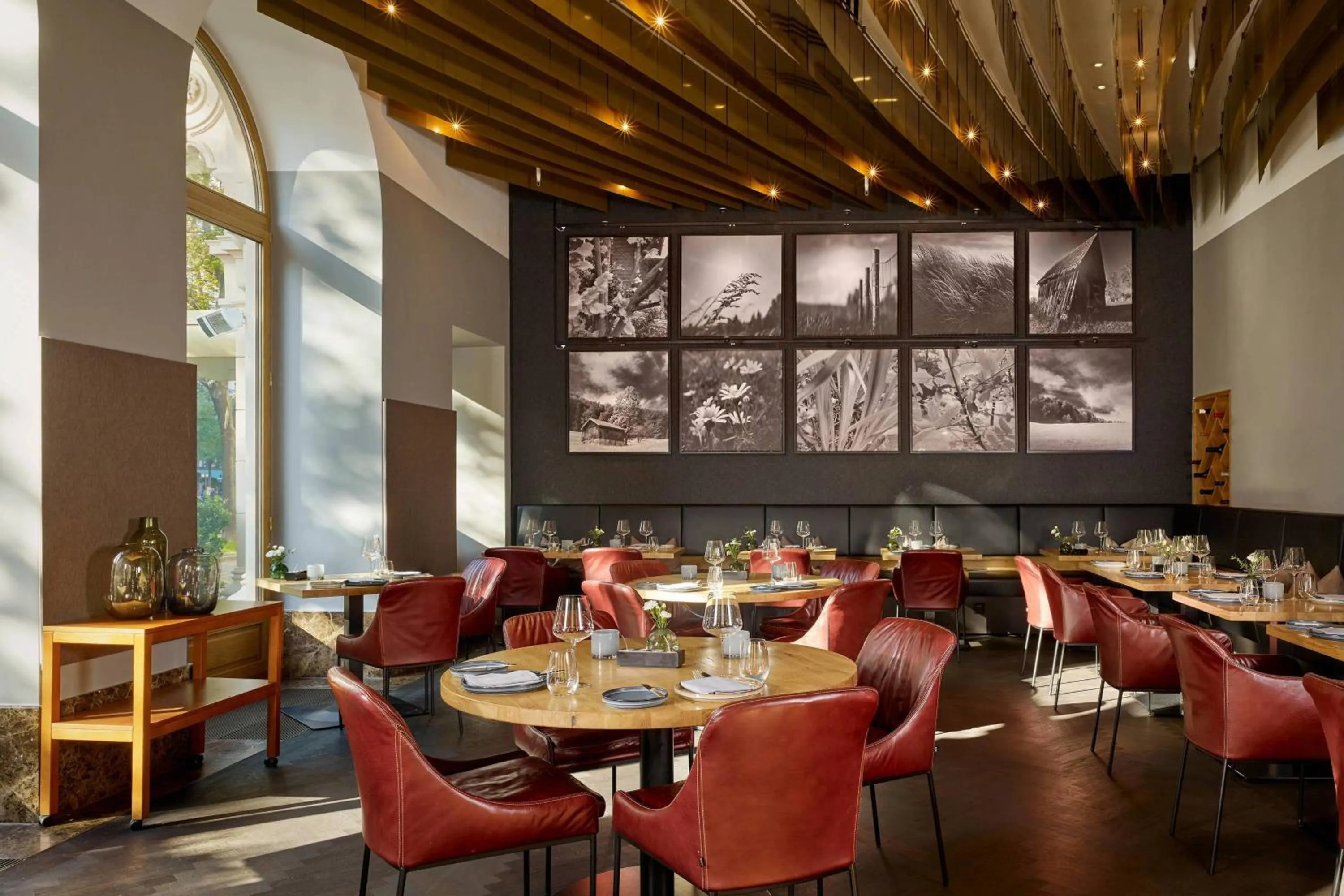 Restaurant/places to eat in The Ritz-Carlton, Vienna