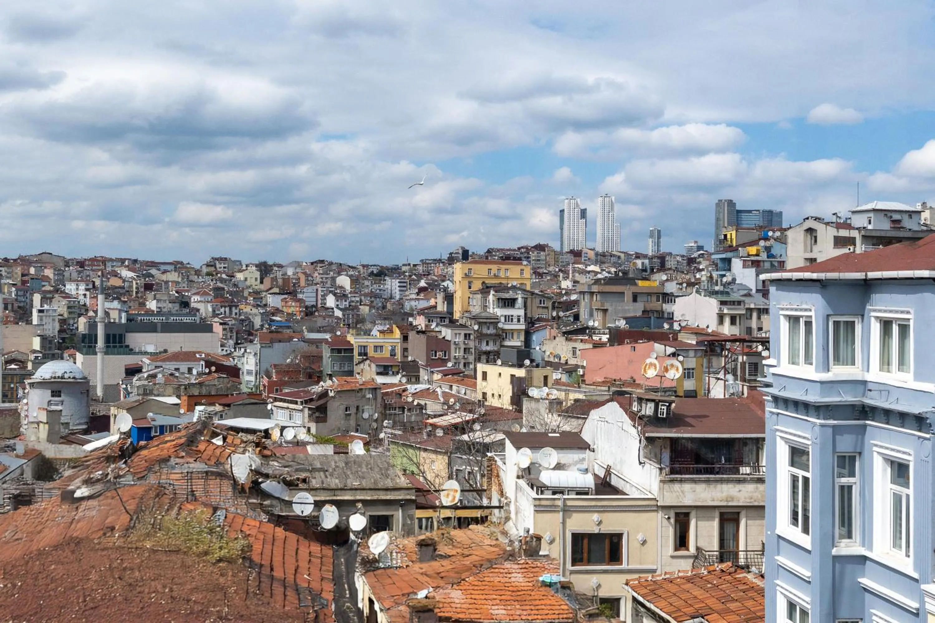 View (from property/room) in Butterfly House