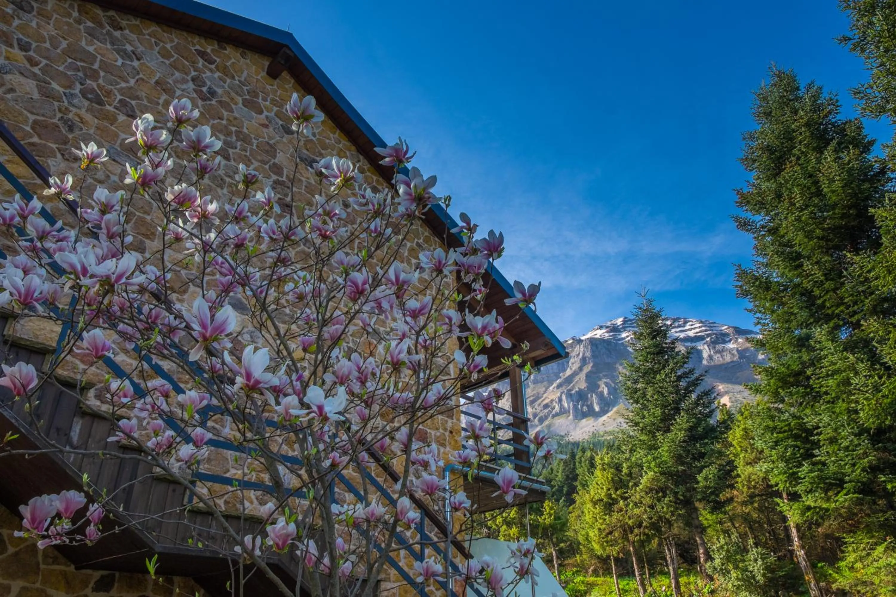 View (from property/room) in Orizontes Tzoumerkon Hotel Resort