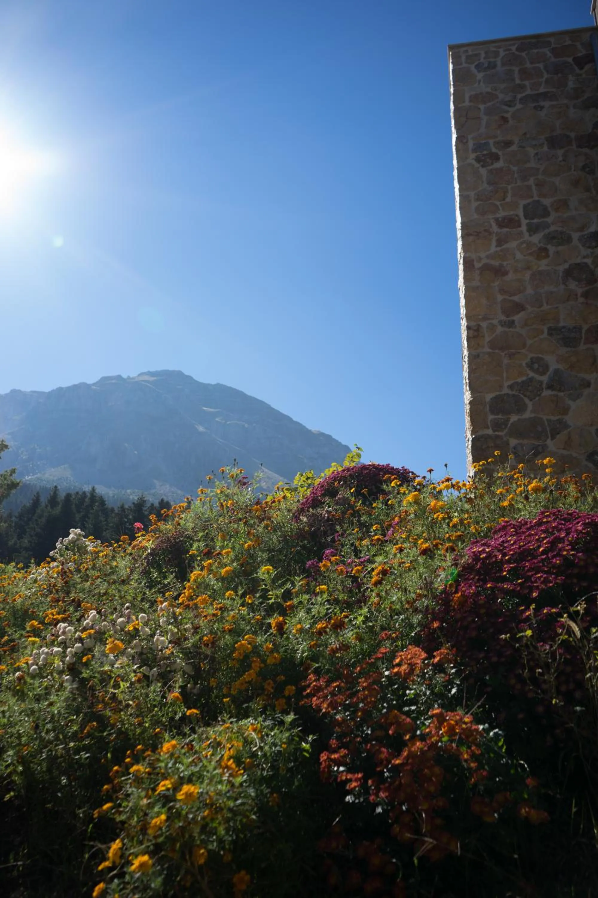 Mountain view in Orizontes Tzoumerkon Hotel Resort