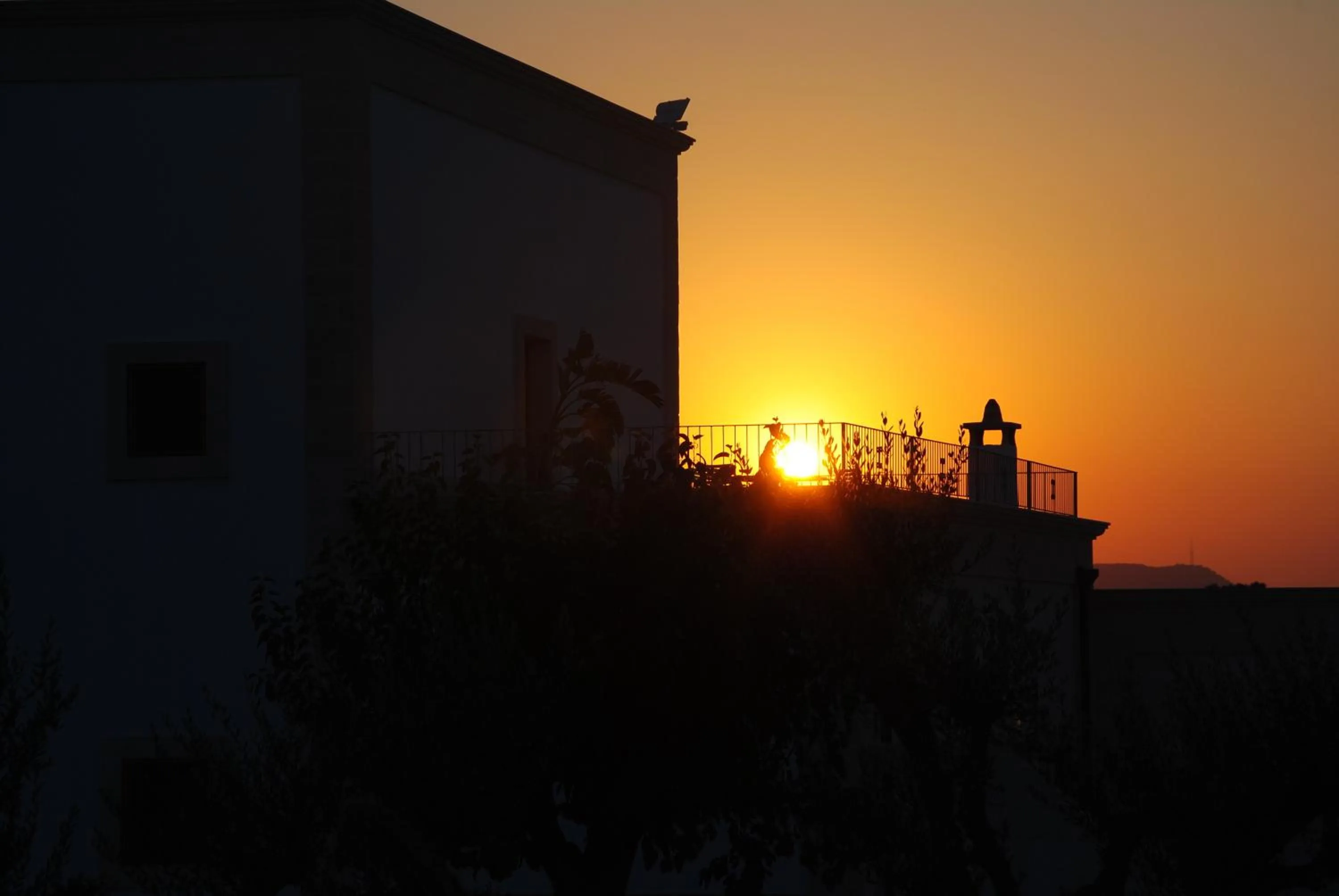 Area and facilities in Casale del Murgese Country Resort