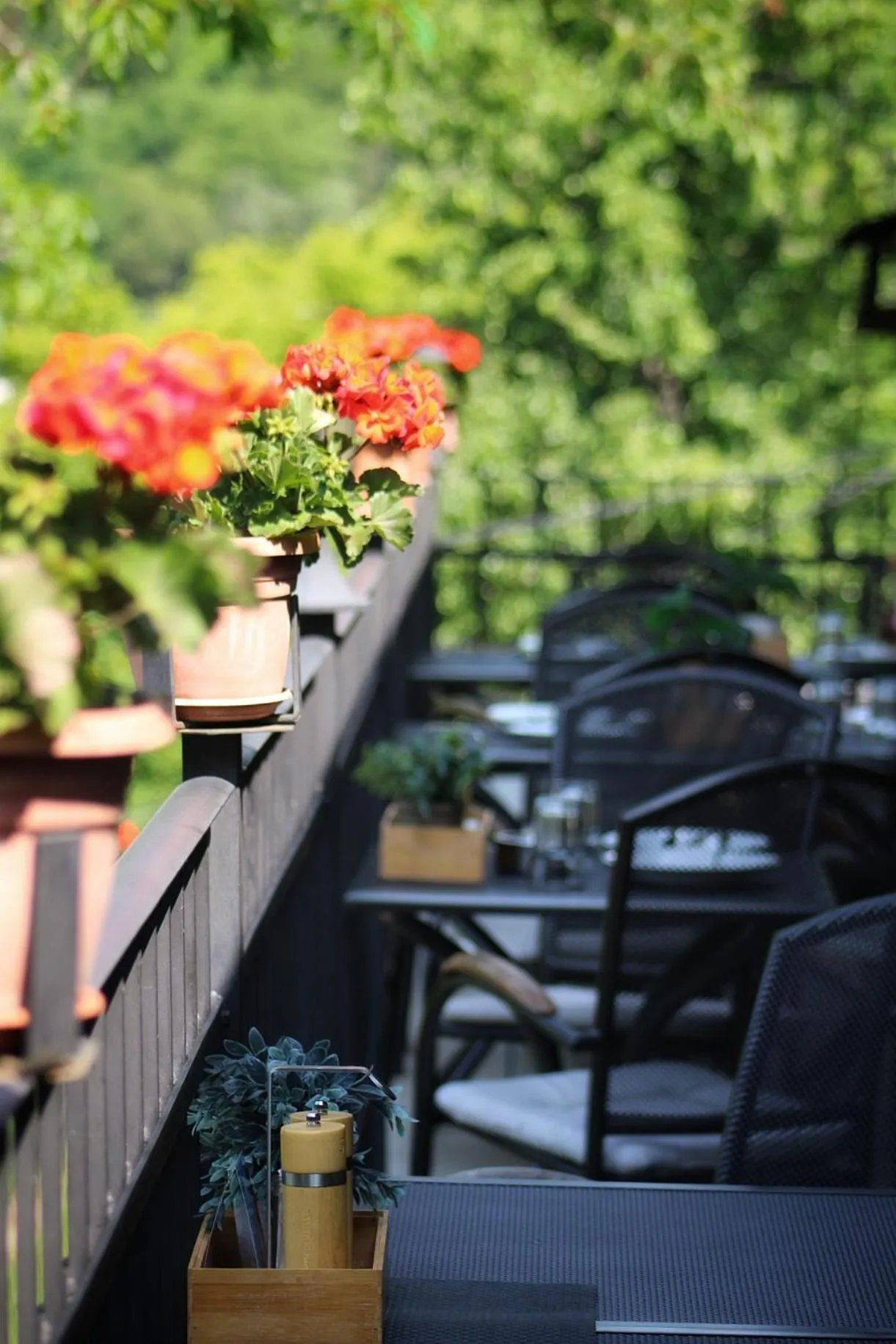 Restaurant/places to eat in Penzion na Kopci