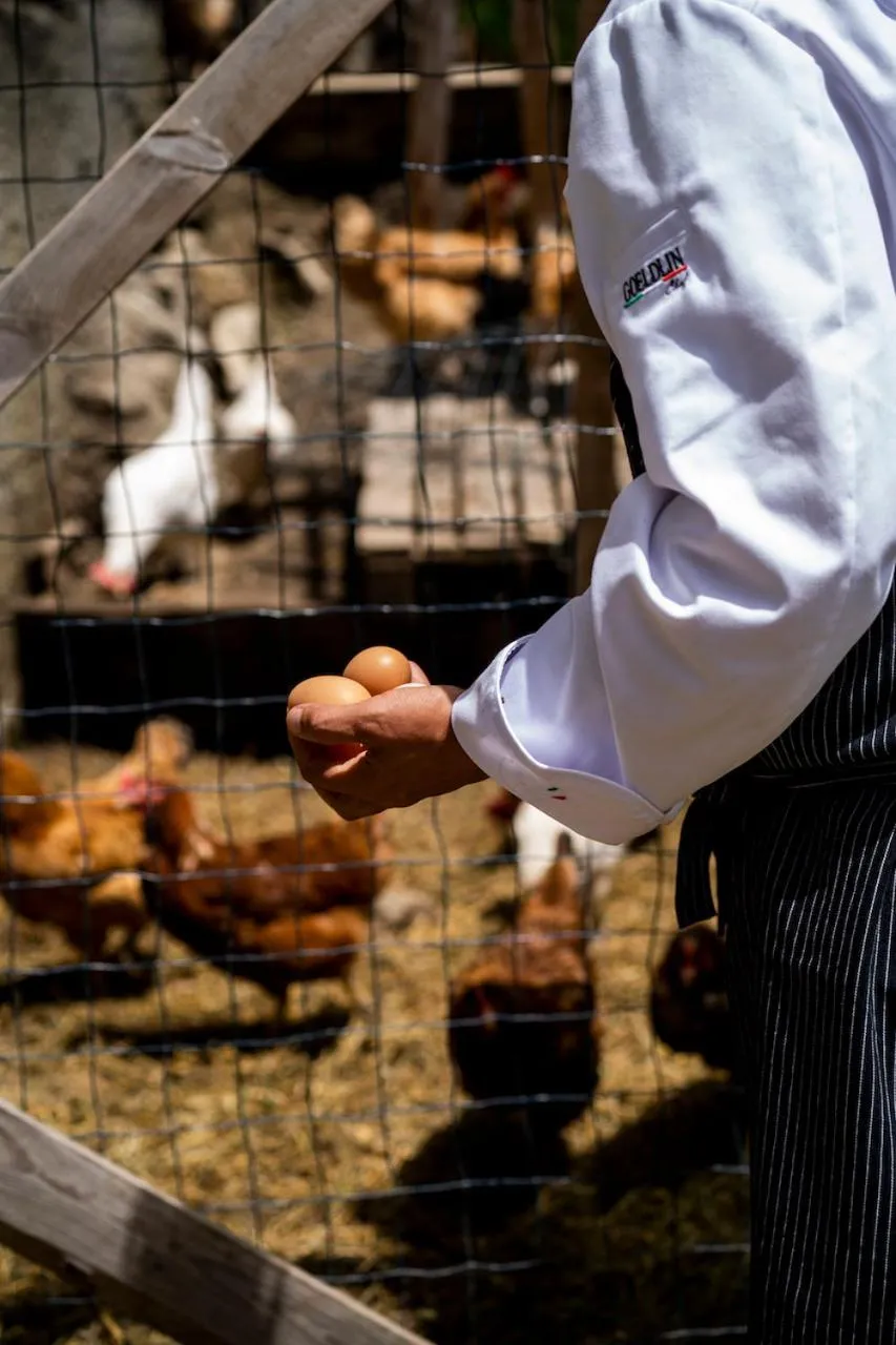 Animals in Locanda De Banchieri