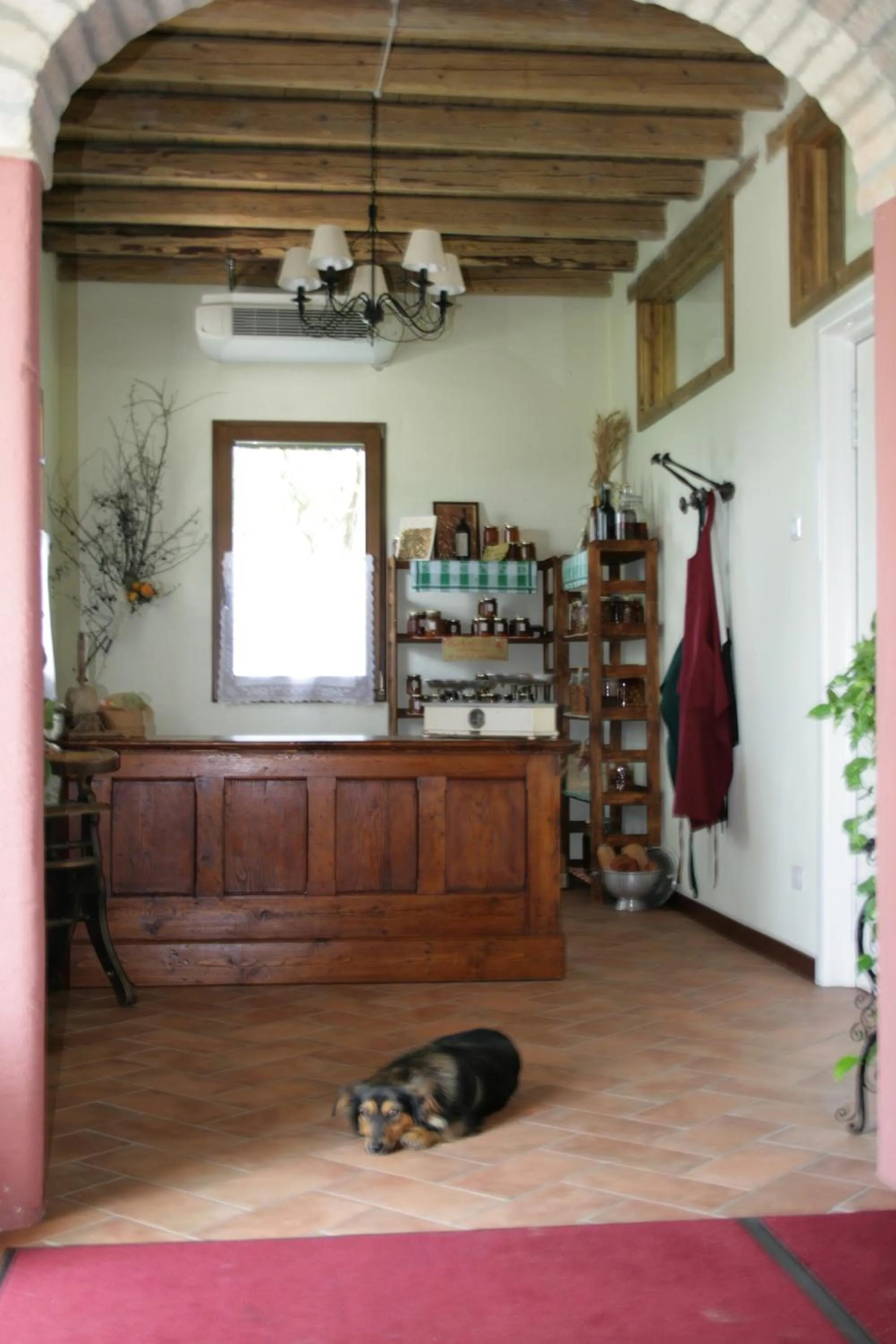 Pets in Locanda Antico Fighèr