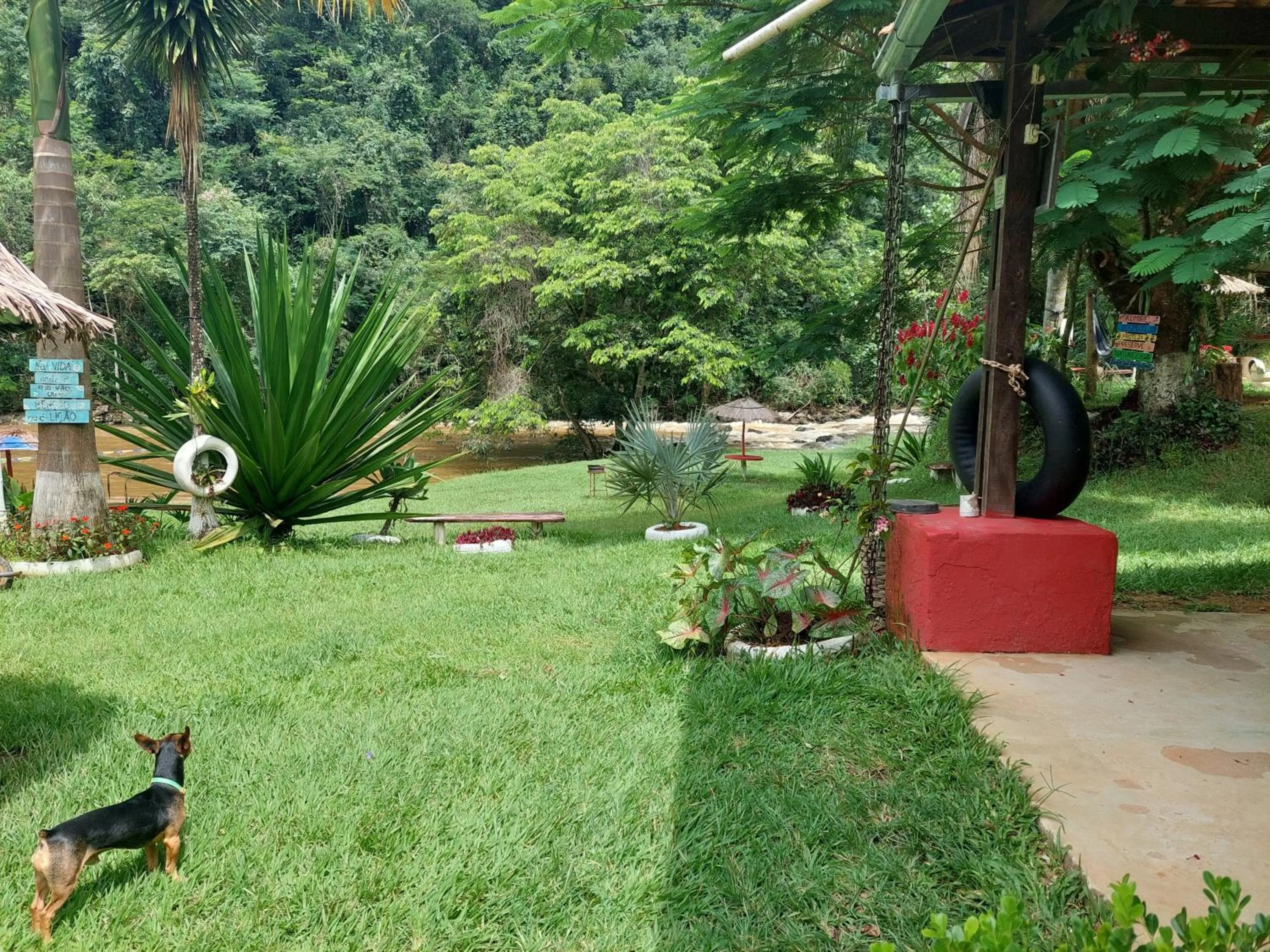Pets in Pousada, Camping e Restaurante do Sô Ito
