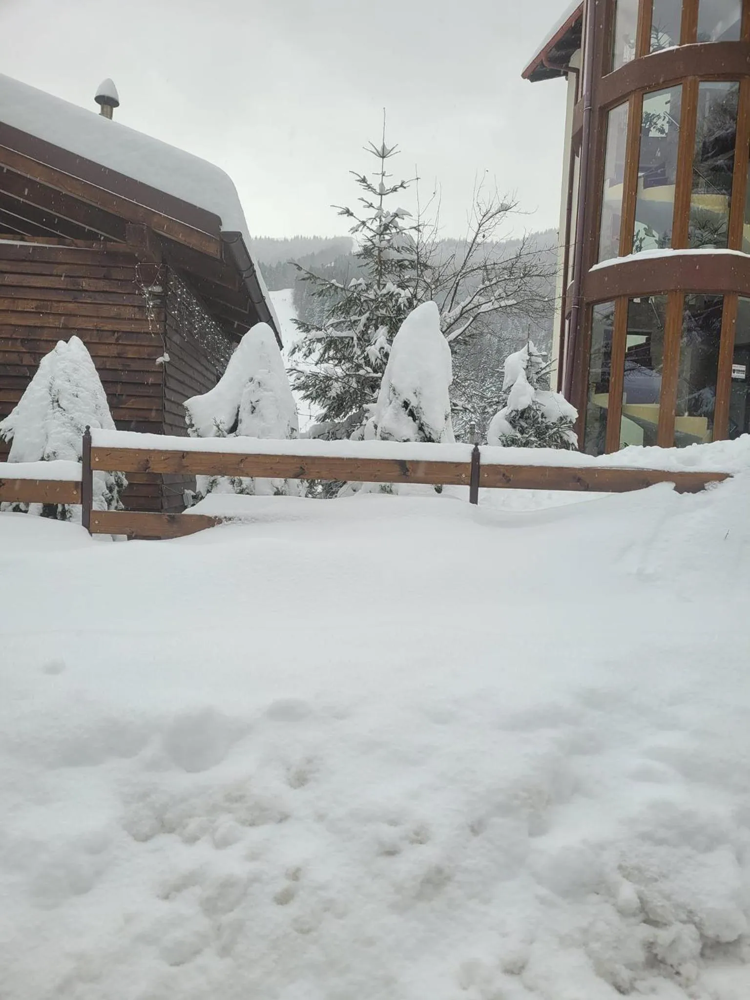 Property building in Pensiunea ELEMAR