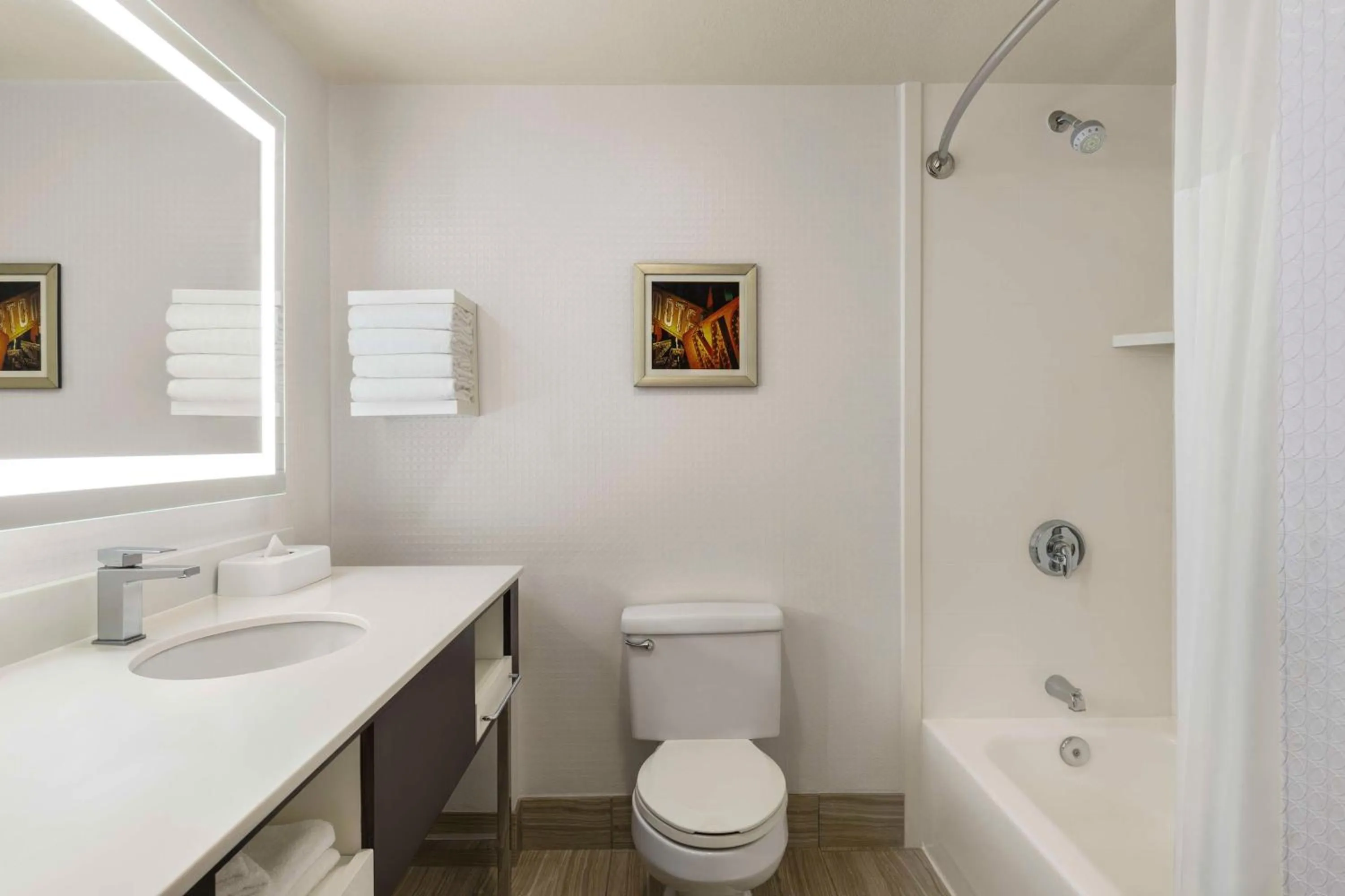 Bathroom in Hampton Inn Tropicana