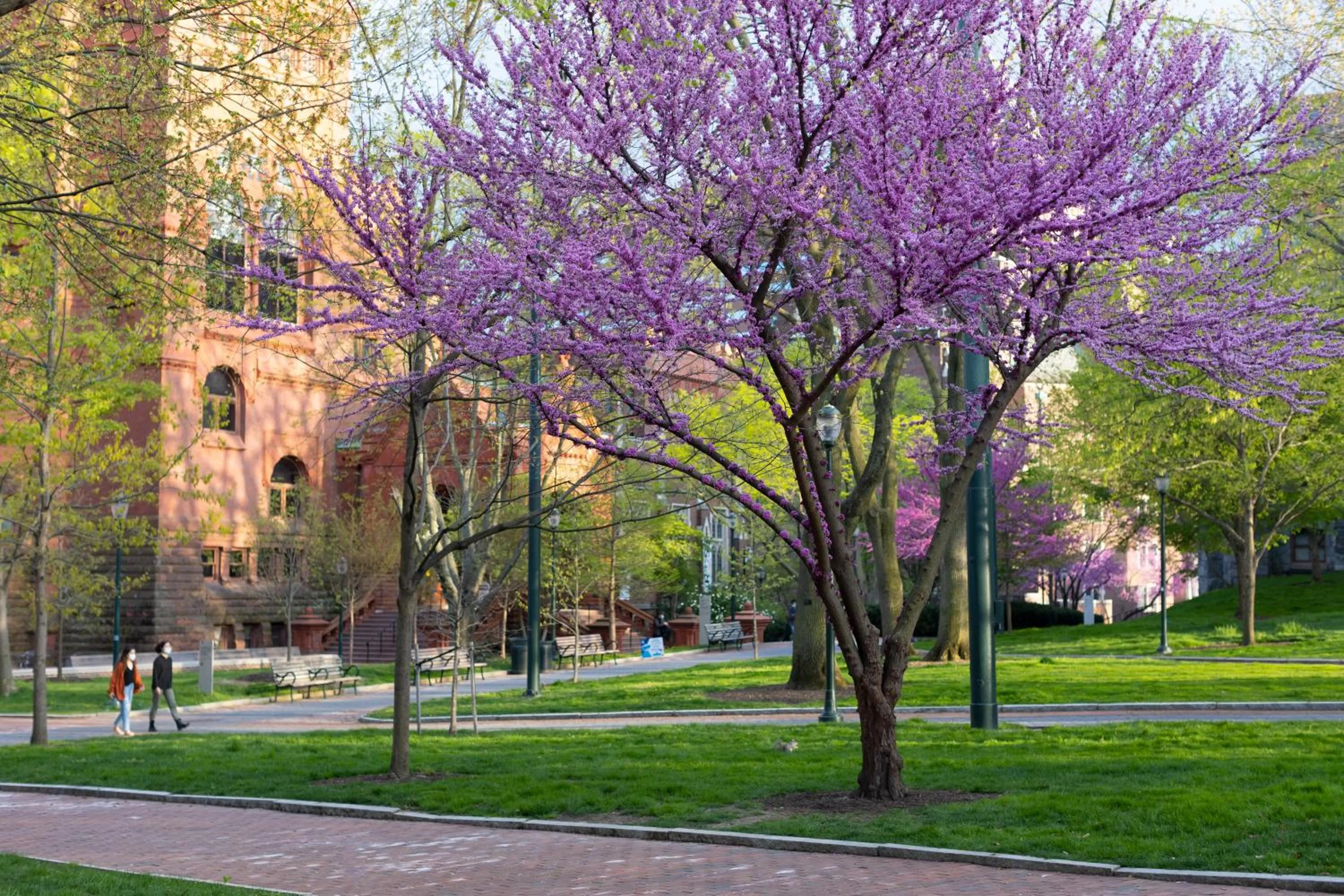 Area and facilities in The Inn at Penn, A Hilton Hotel