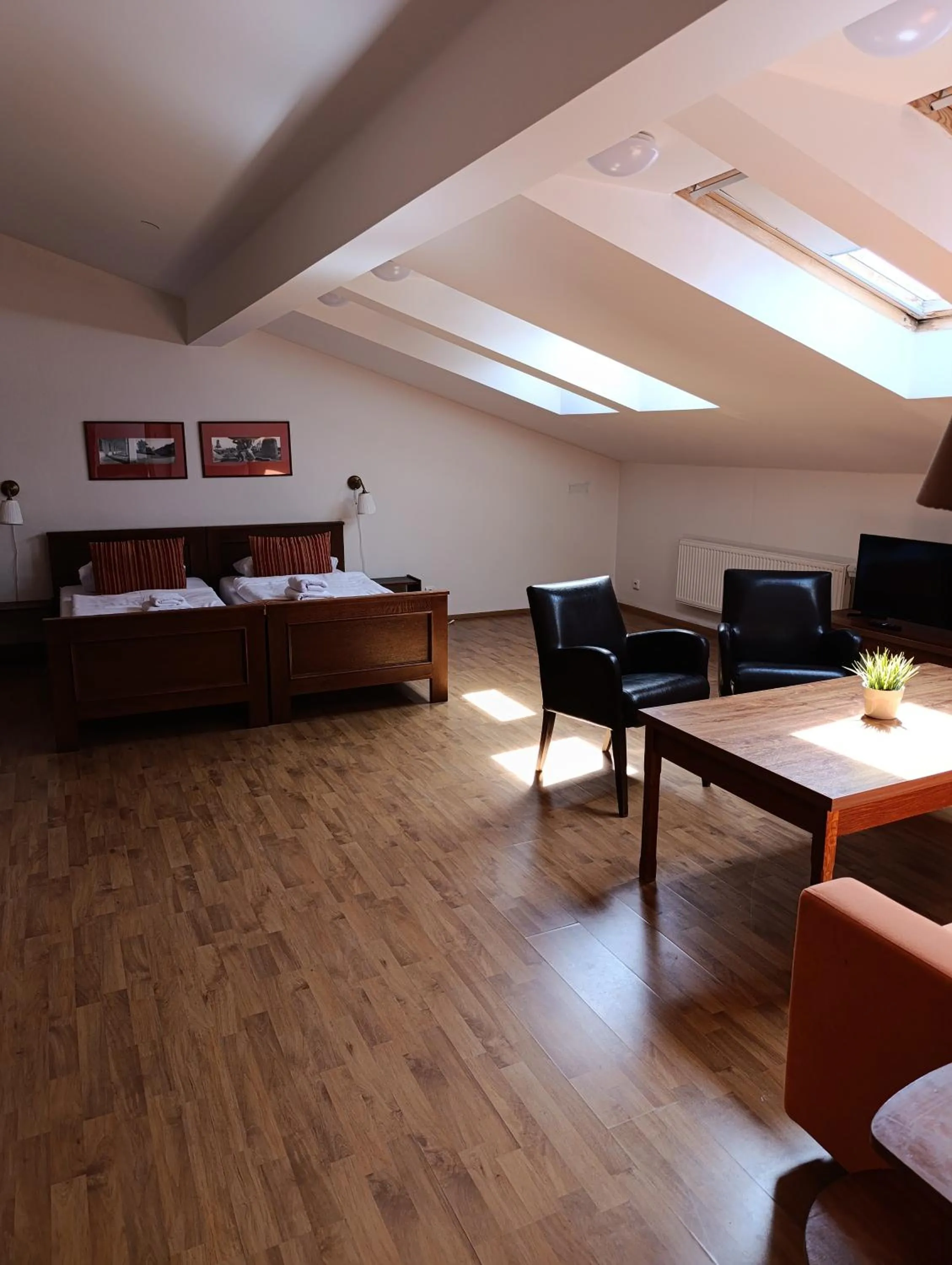 Standard Apartment in Hotel U Zlatého kohouta