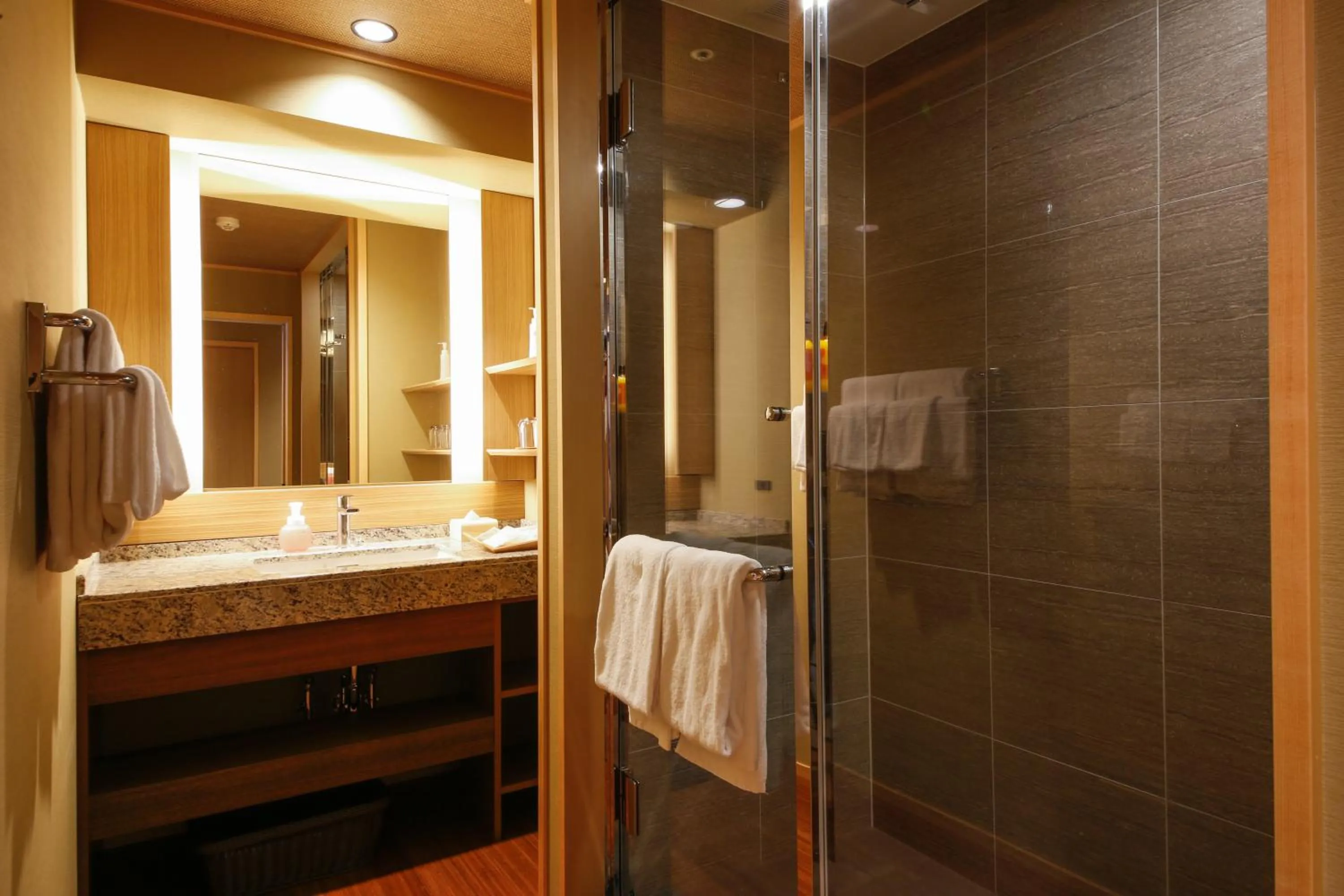 Bathroom in The Shiroyama Terrace Tsuyama Villa