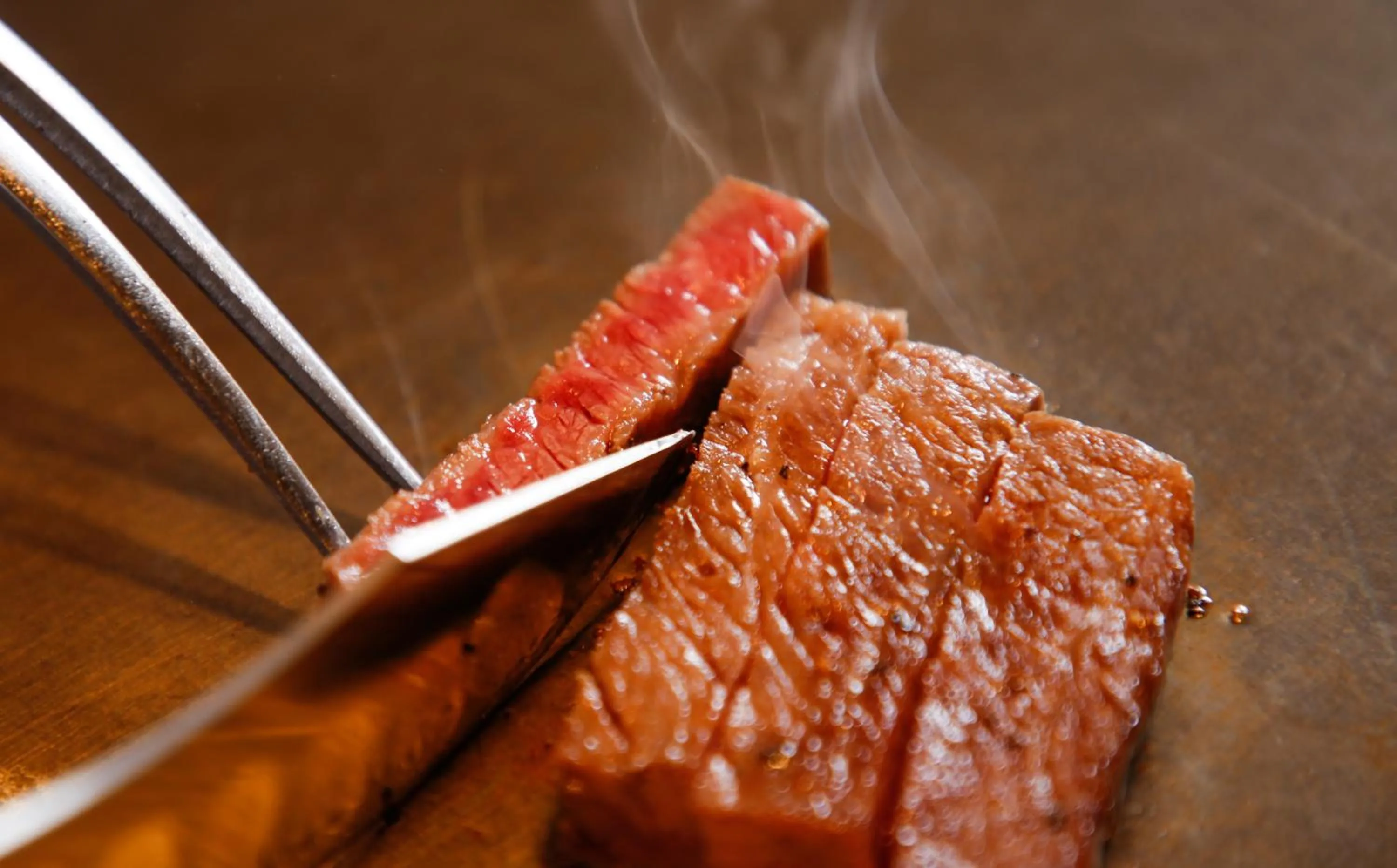 The Shiroyama Terrace Tsuyama Villa