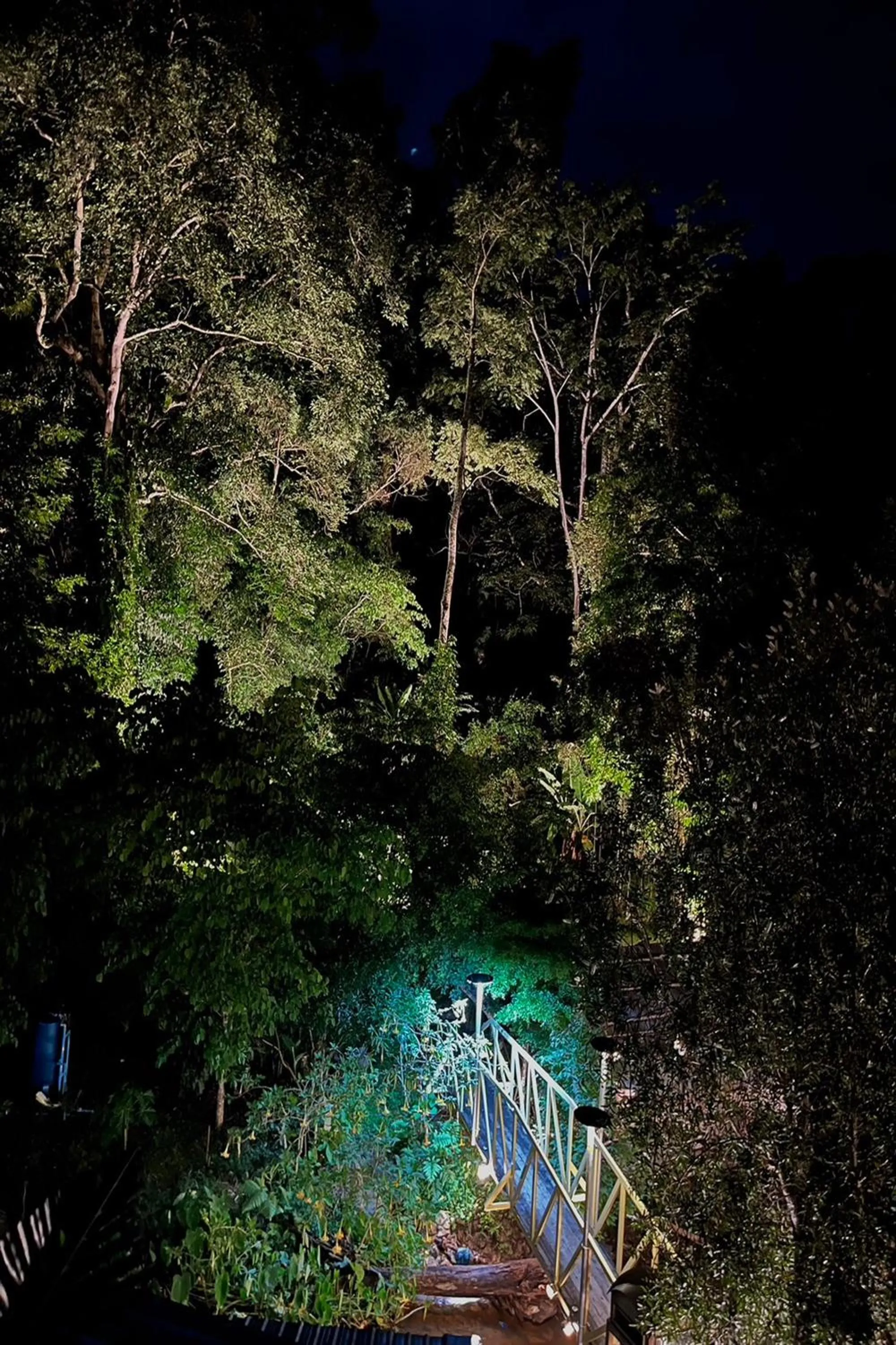 Garden in Voraman Hut