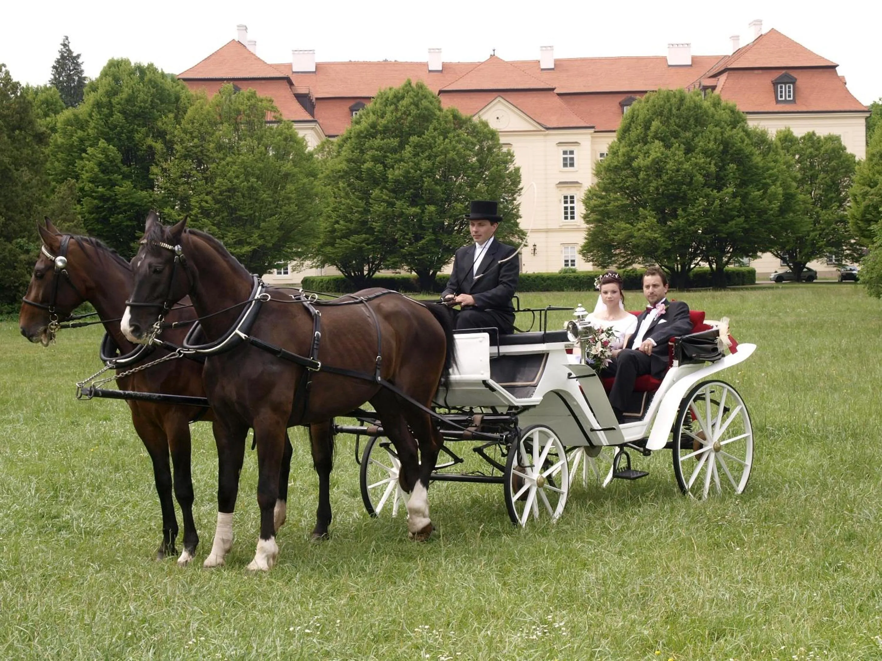 Garden in Zámek Napajedla