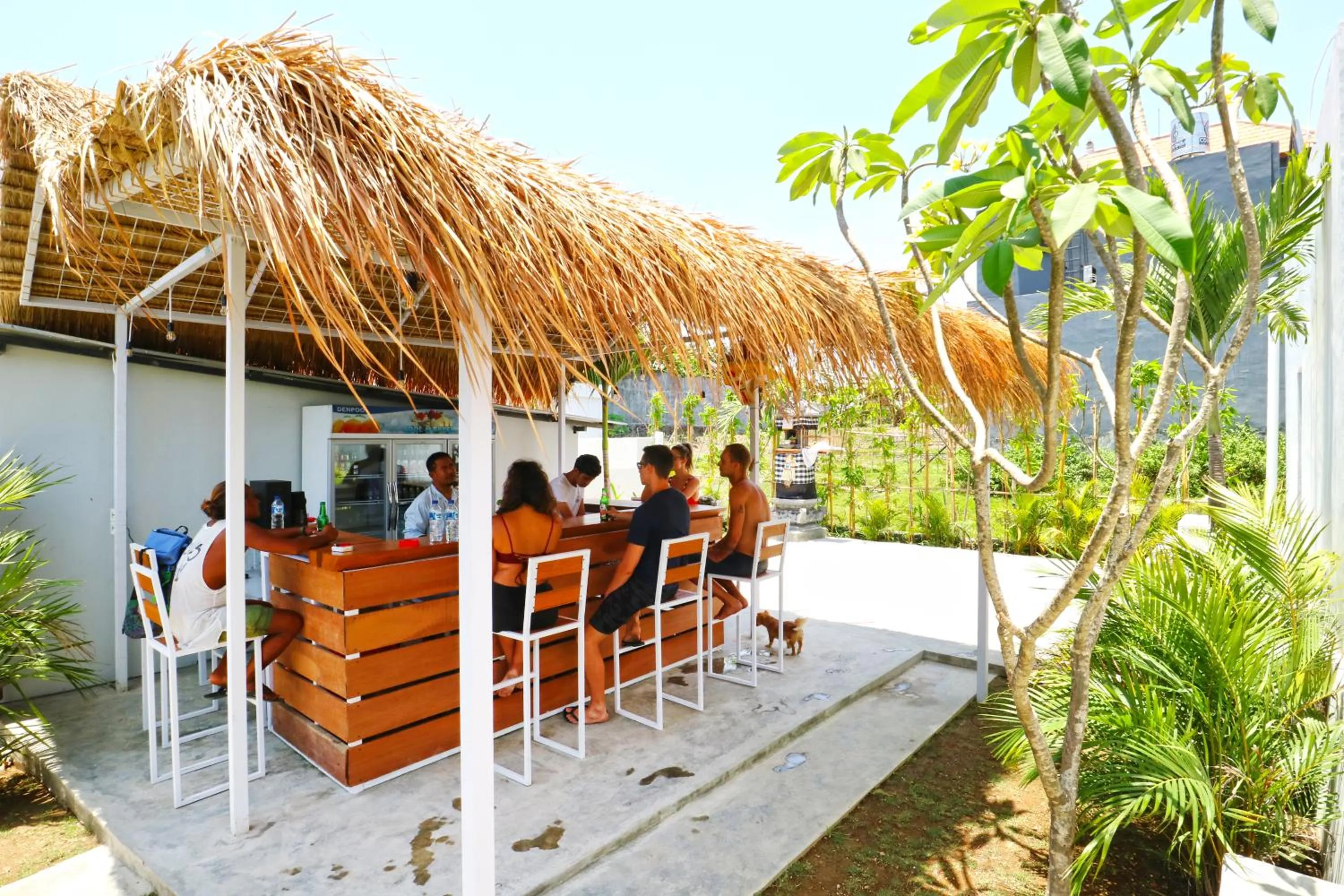 Lounge or bar in Margarita Surf Hostel Canggu