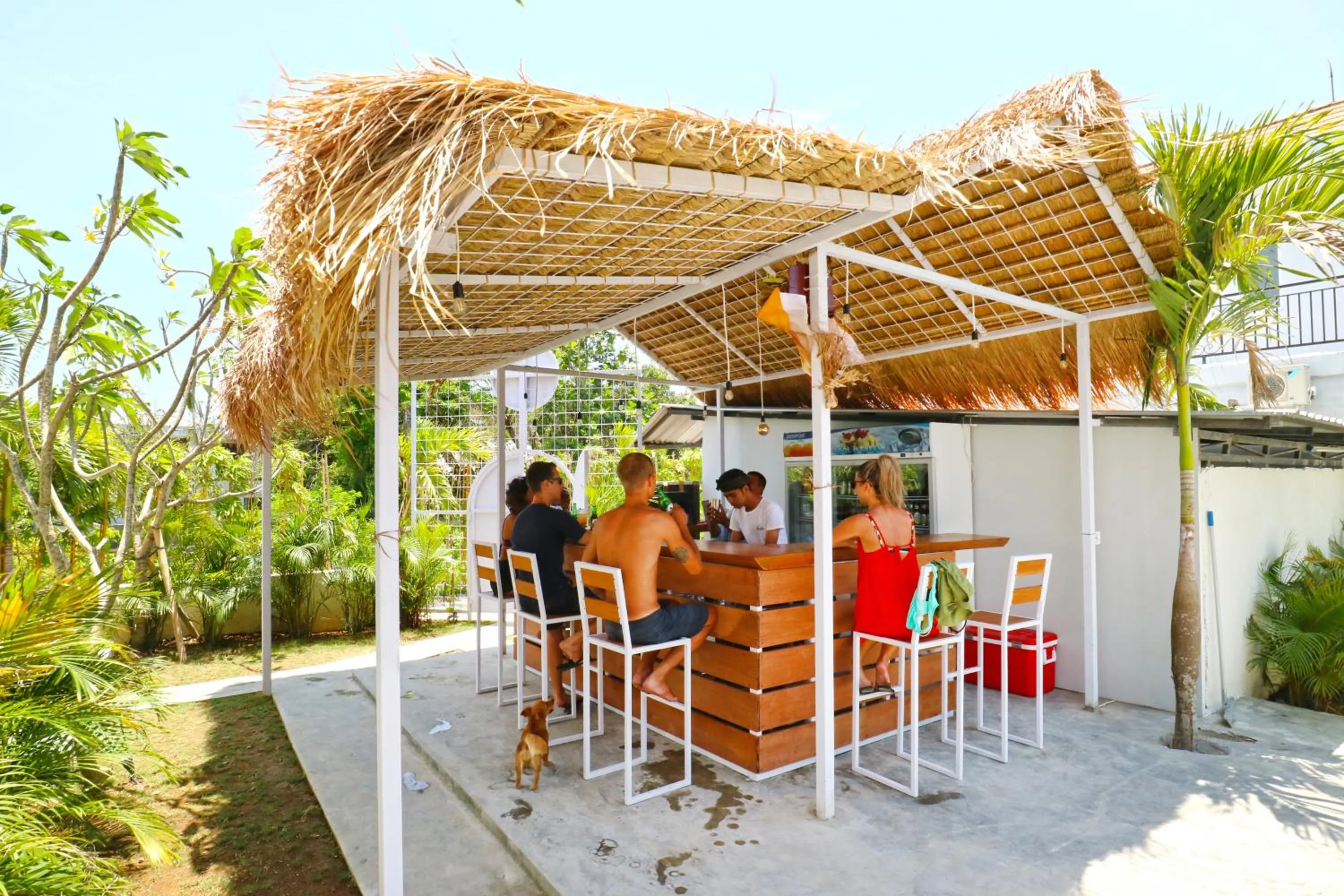 Lounge or bar in Margarita Surf Hostel Canggu