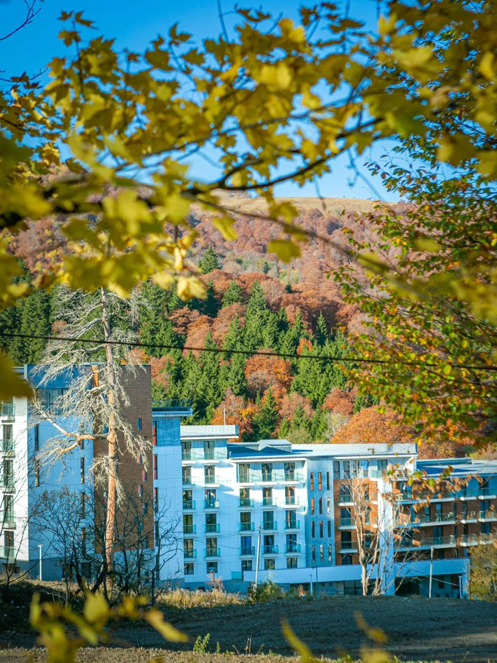 Property building in Orbi Palace Hotel Official