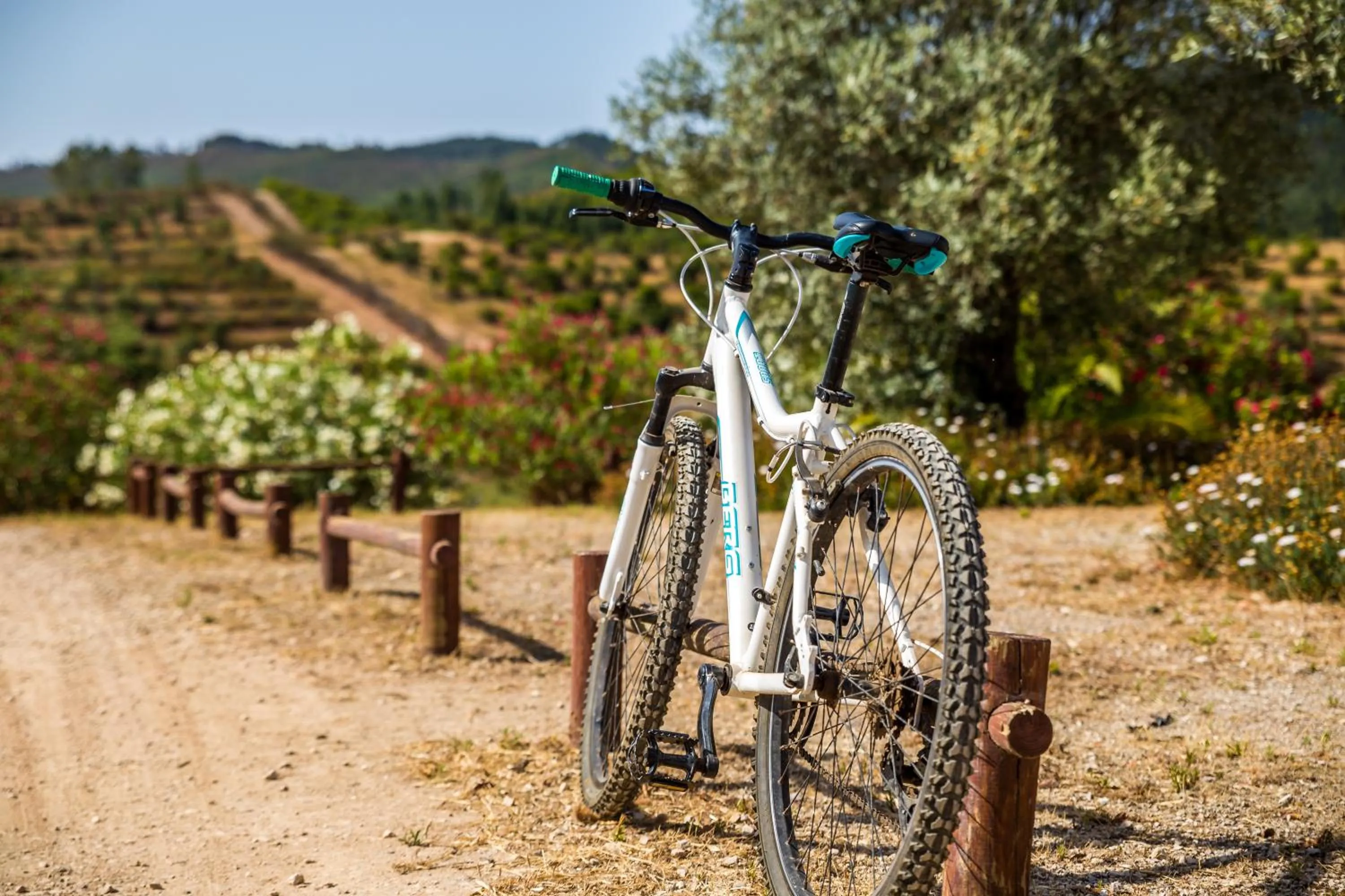 Activities in Nave Redonda do Cerro – Countryside & Nature