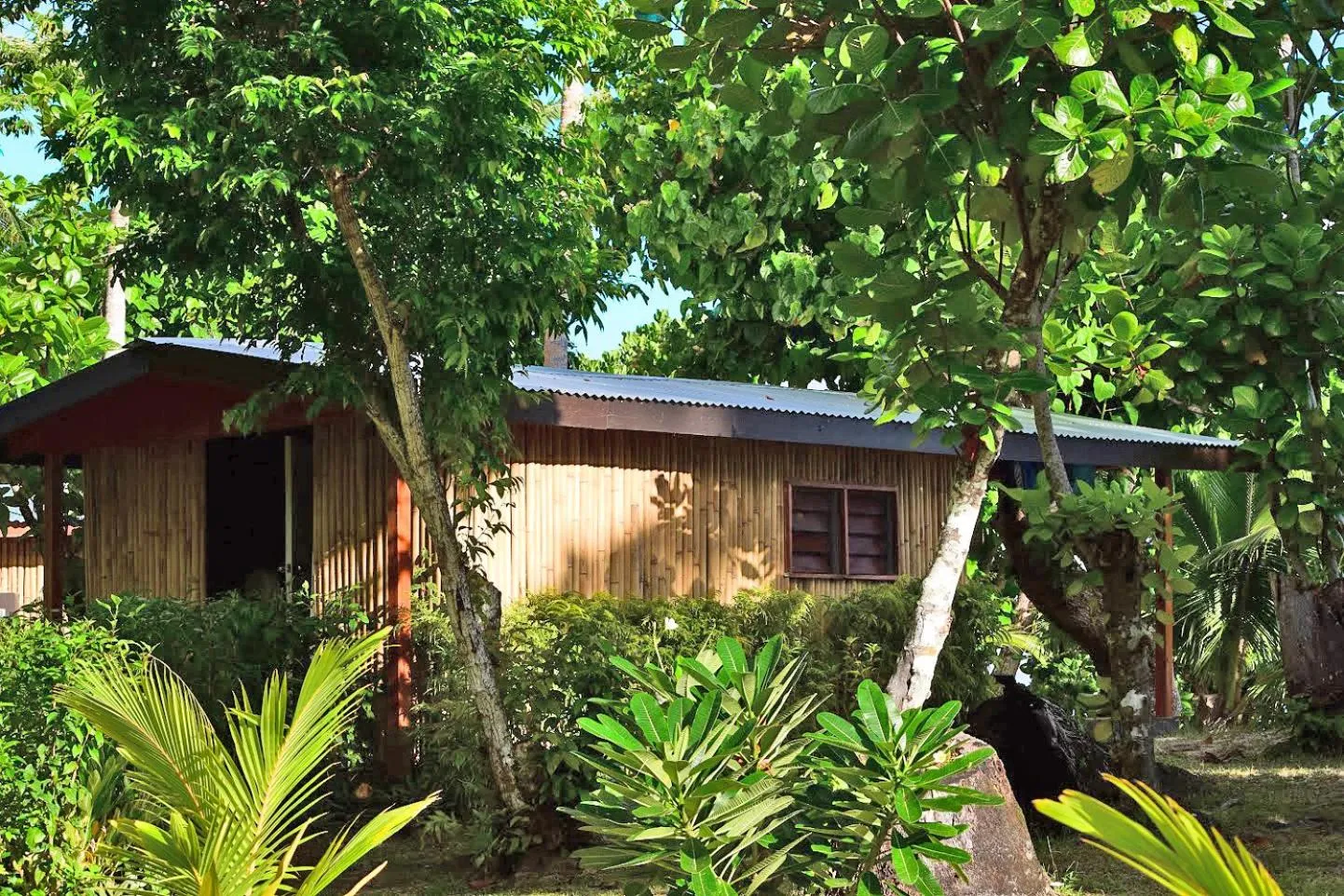 Photo of the whole room in Maqai Beach Eco Resort