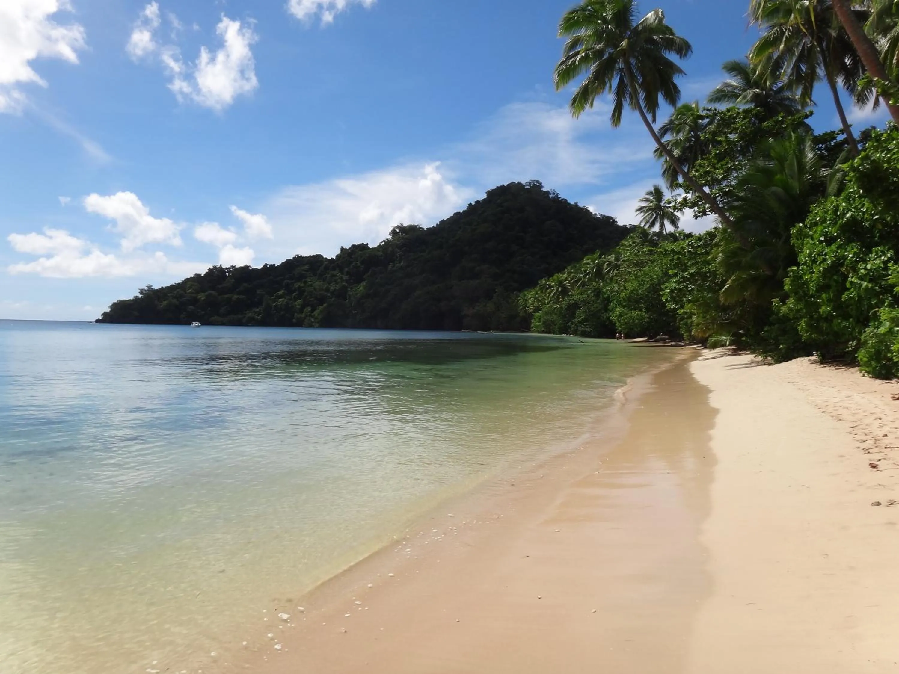Beach in Maqai Beach Eco Resort