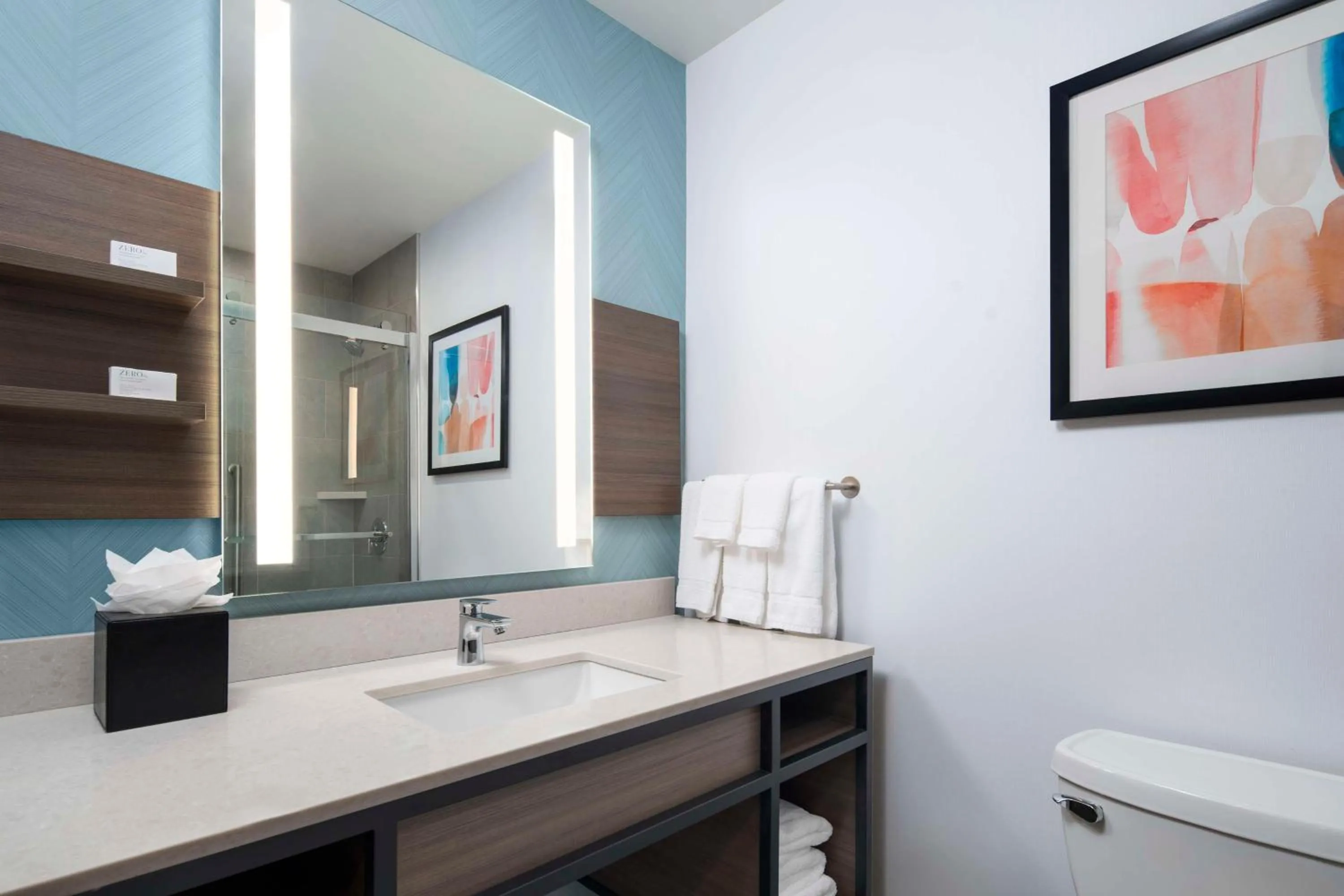 Bathroom in Hilton Garden Inn Kennett Square