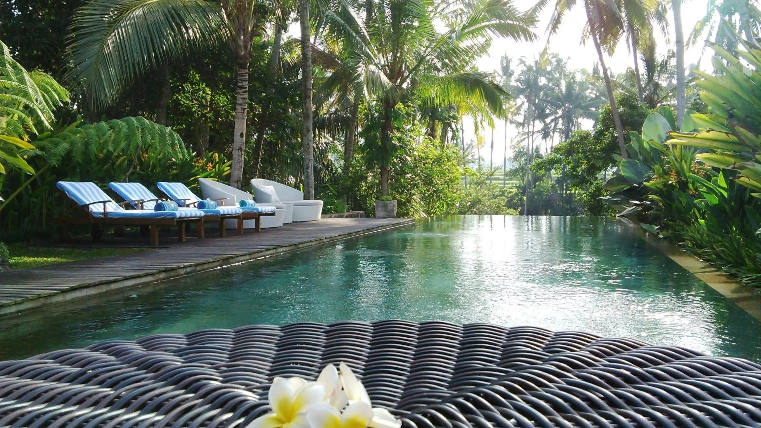 Swimming pool in Swarapadi Villa