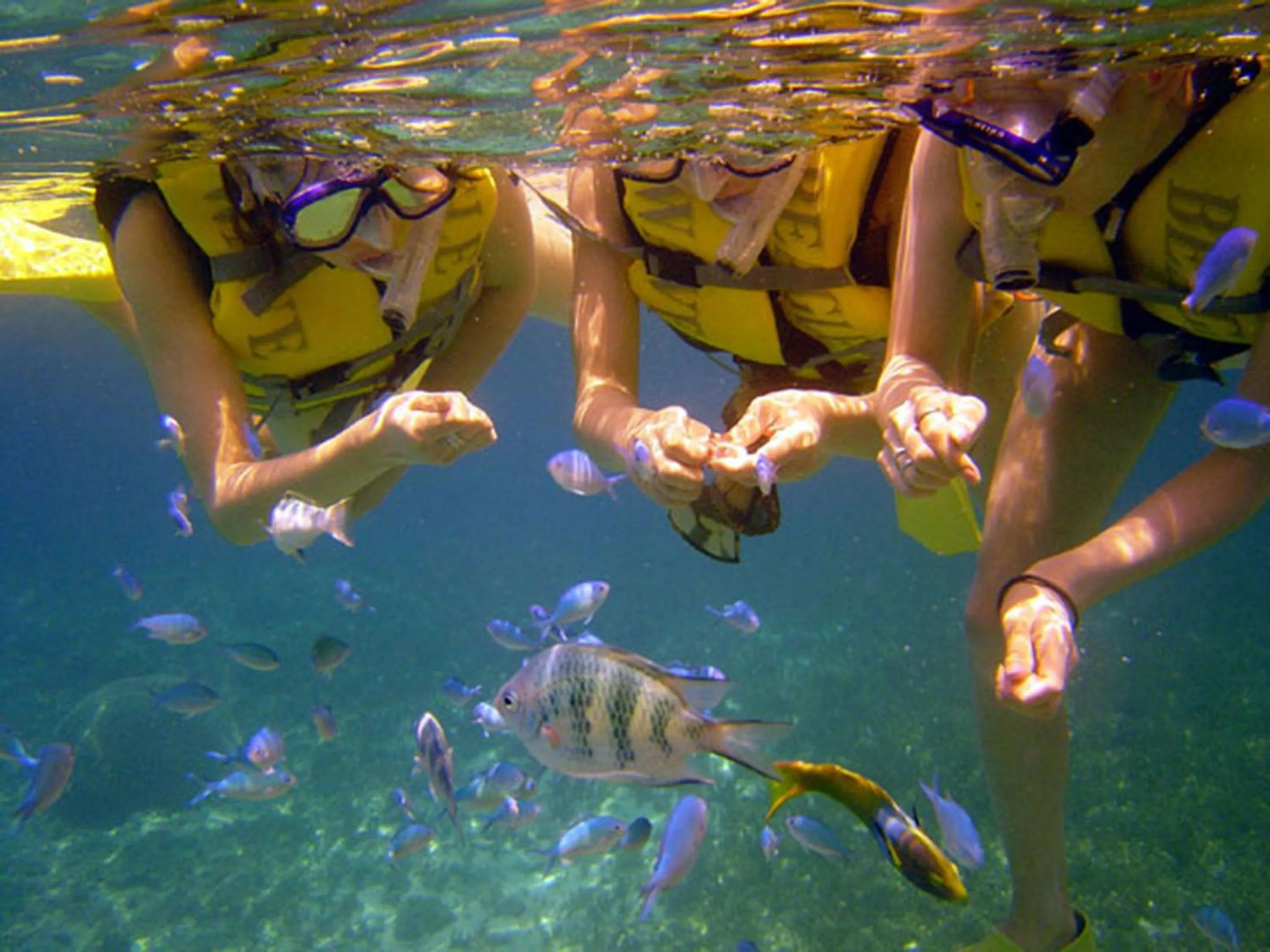 Snorkeling in Hotel Hamahigashima Resort