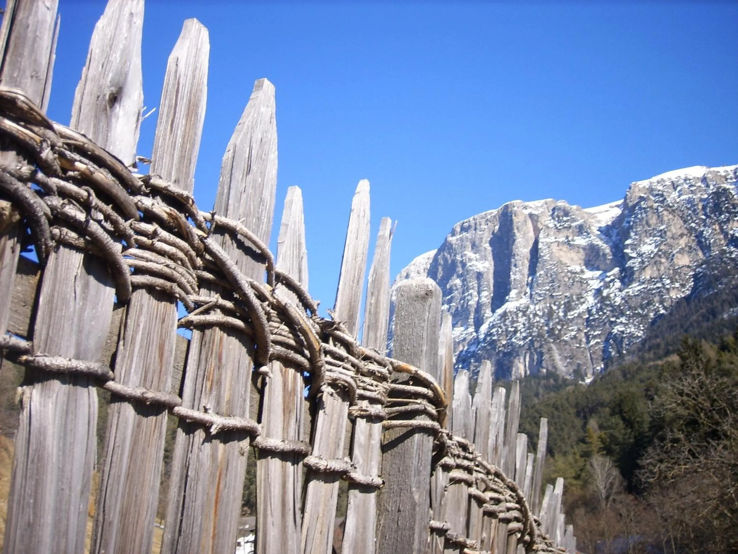 View (from property/room) in Chalet Elisabeth dolomites alpin & charme