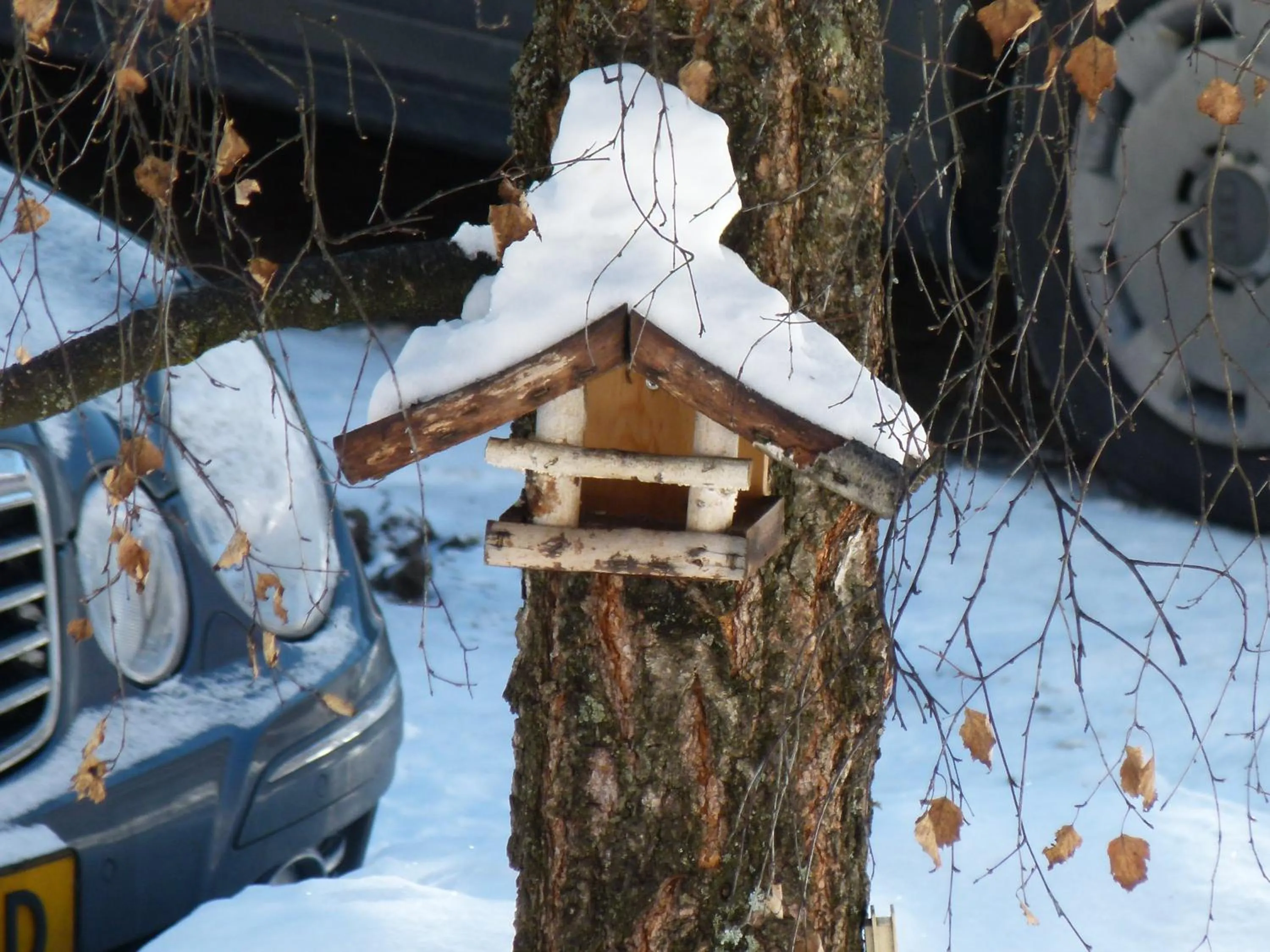 Winter in Chalet Elisabeth dolomites alpin & charme