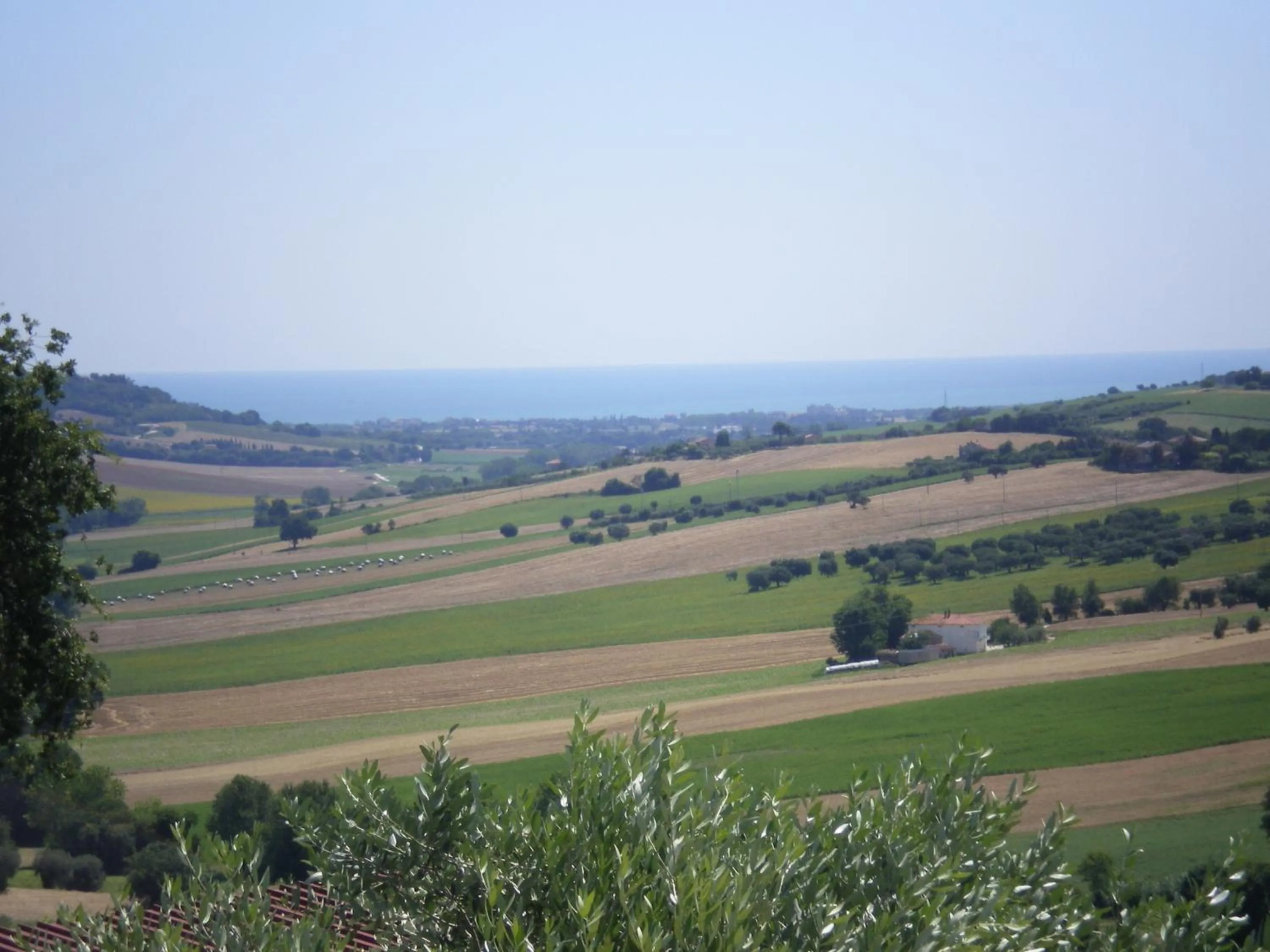 Natural landscape in Hotel Palazzo Bello
