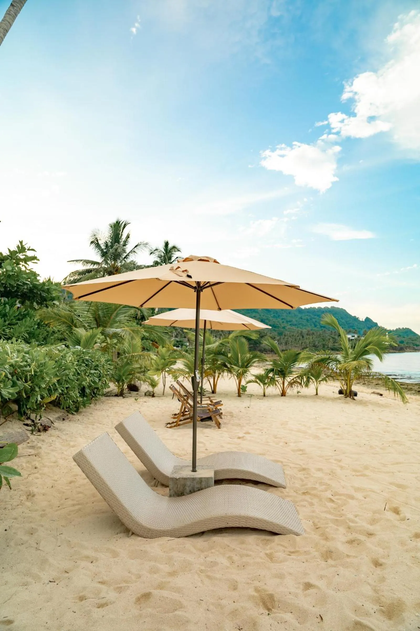 Beach in Bamboo Surf Beach