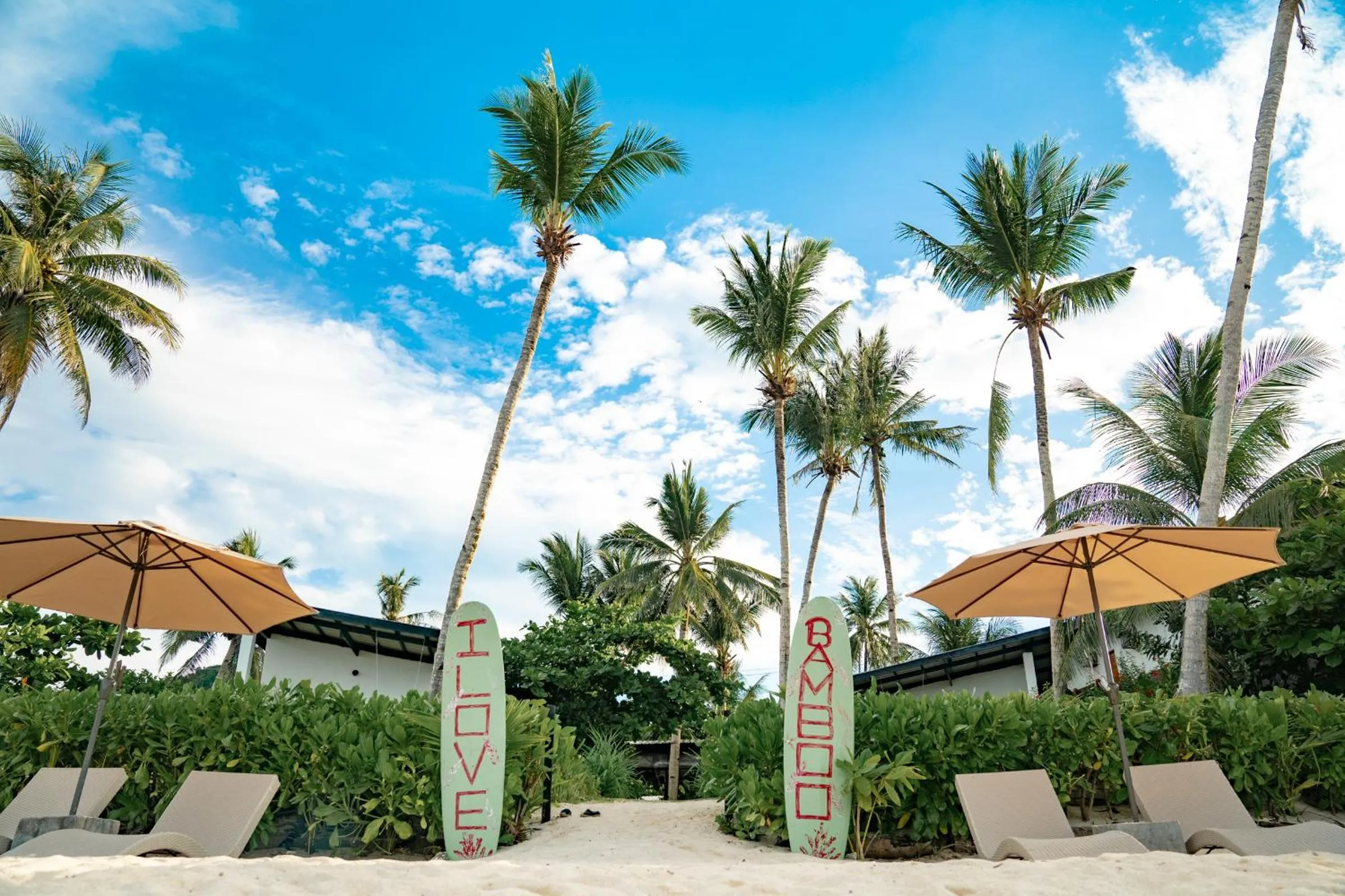 Beach in Bamboo Surf Beach