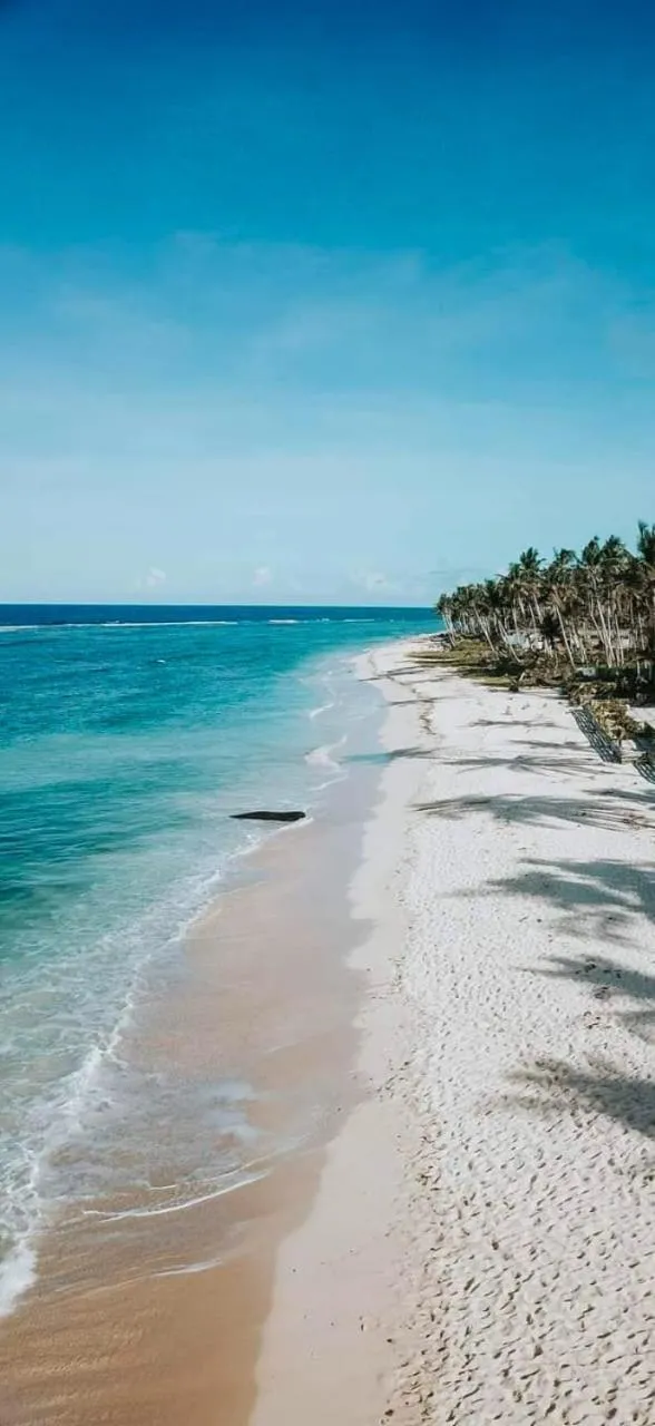 View (from property/room) in Bamboo Surf Beach