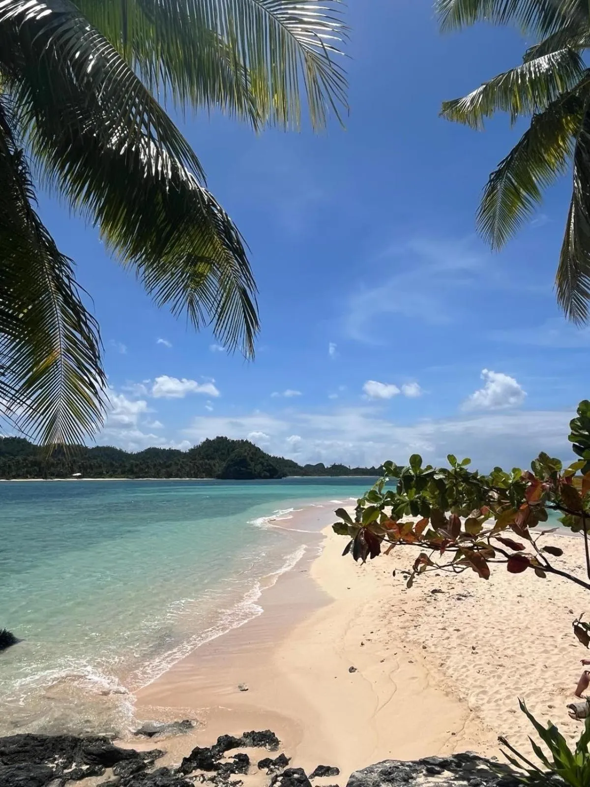 Natural landscape in Bamboo Surf Beach