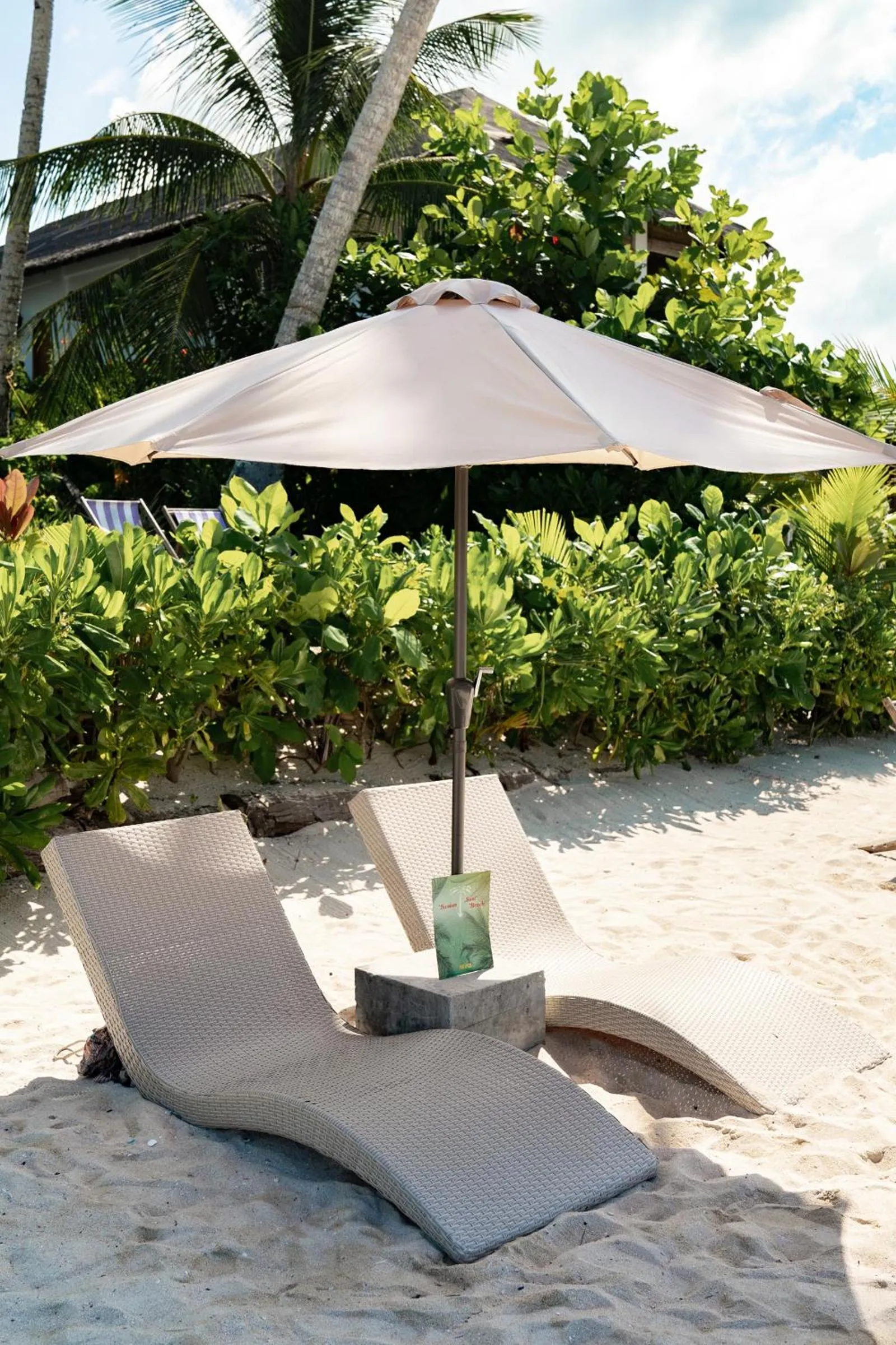 Beach in Bamboo Surf Beach