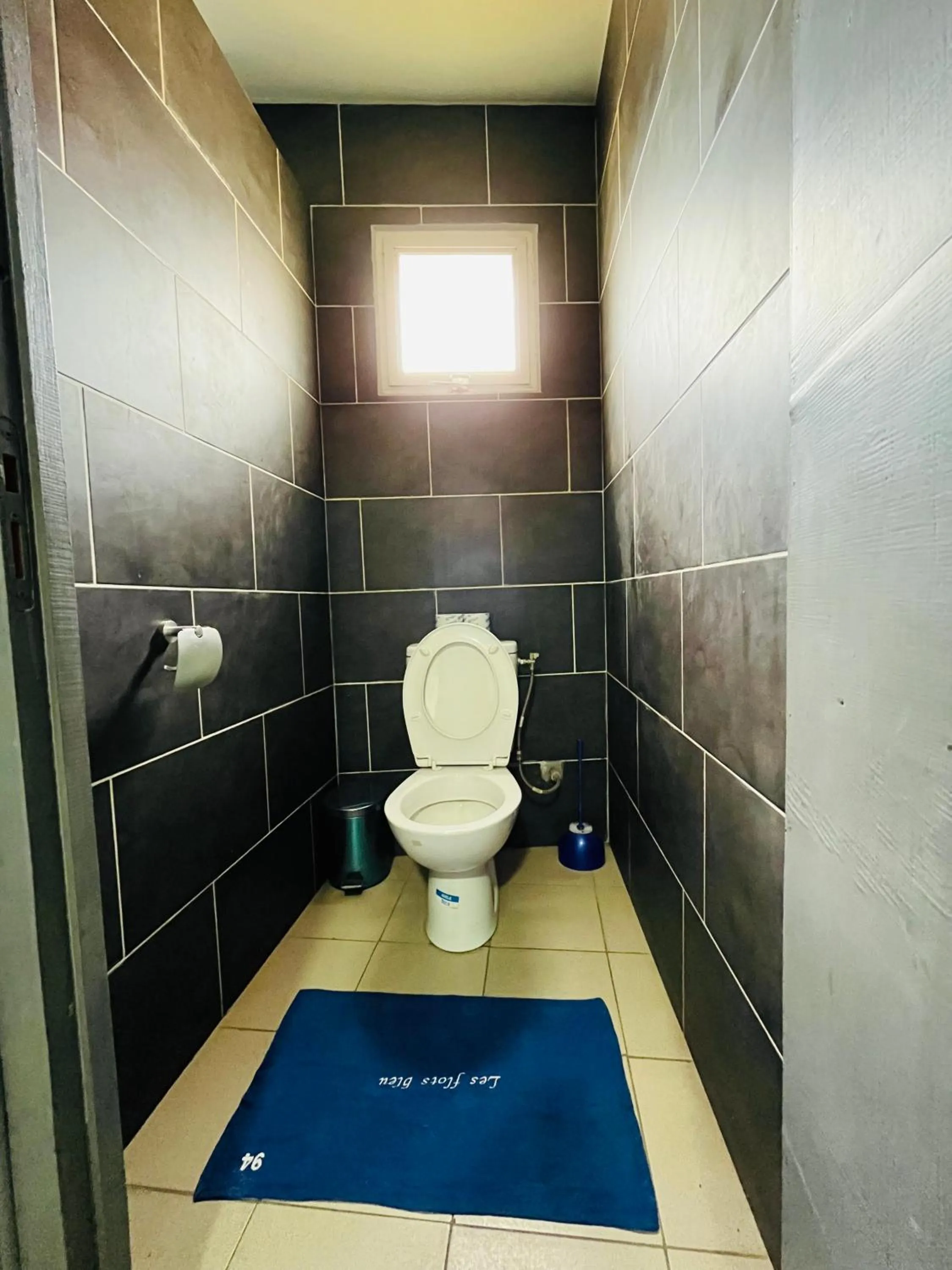 Toilet in Hôtel - Appartement meublé " LES FLOTS BLEU "