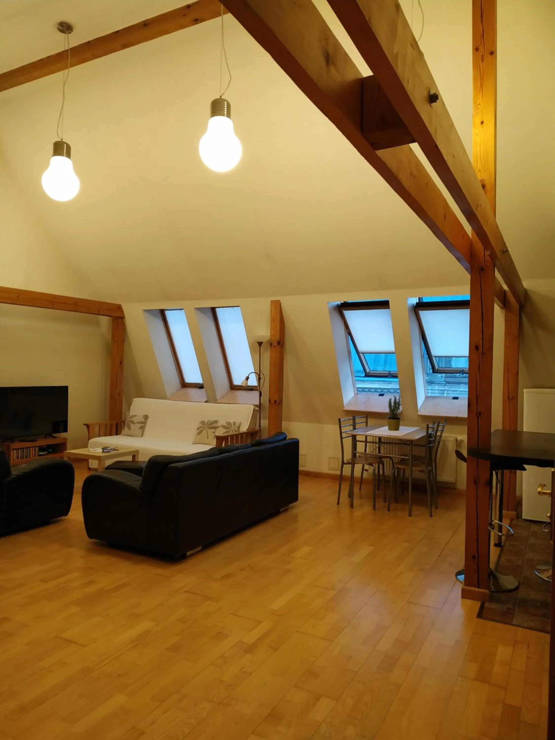 Sunlit Loft Apartment Riga