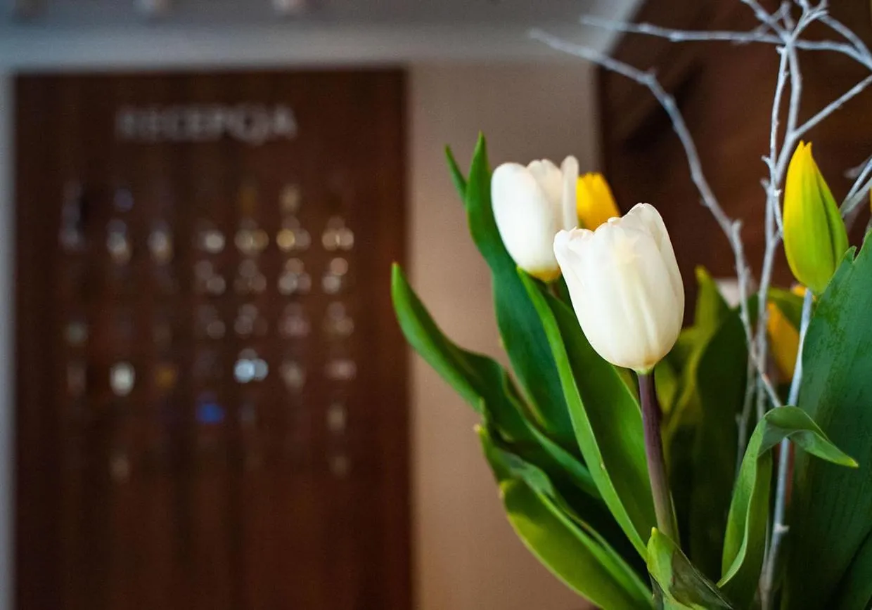 Property building in Hotel Livia