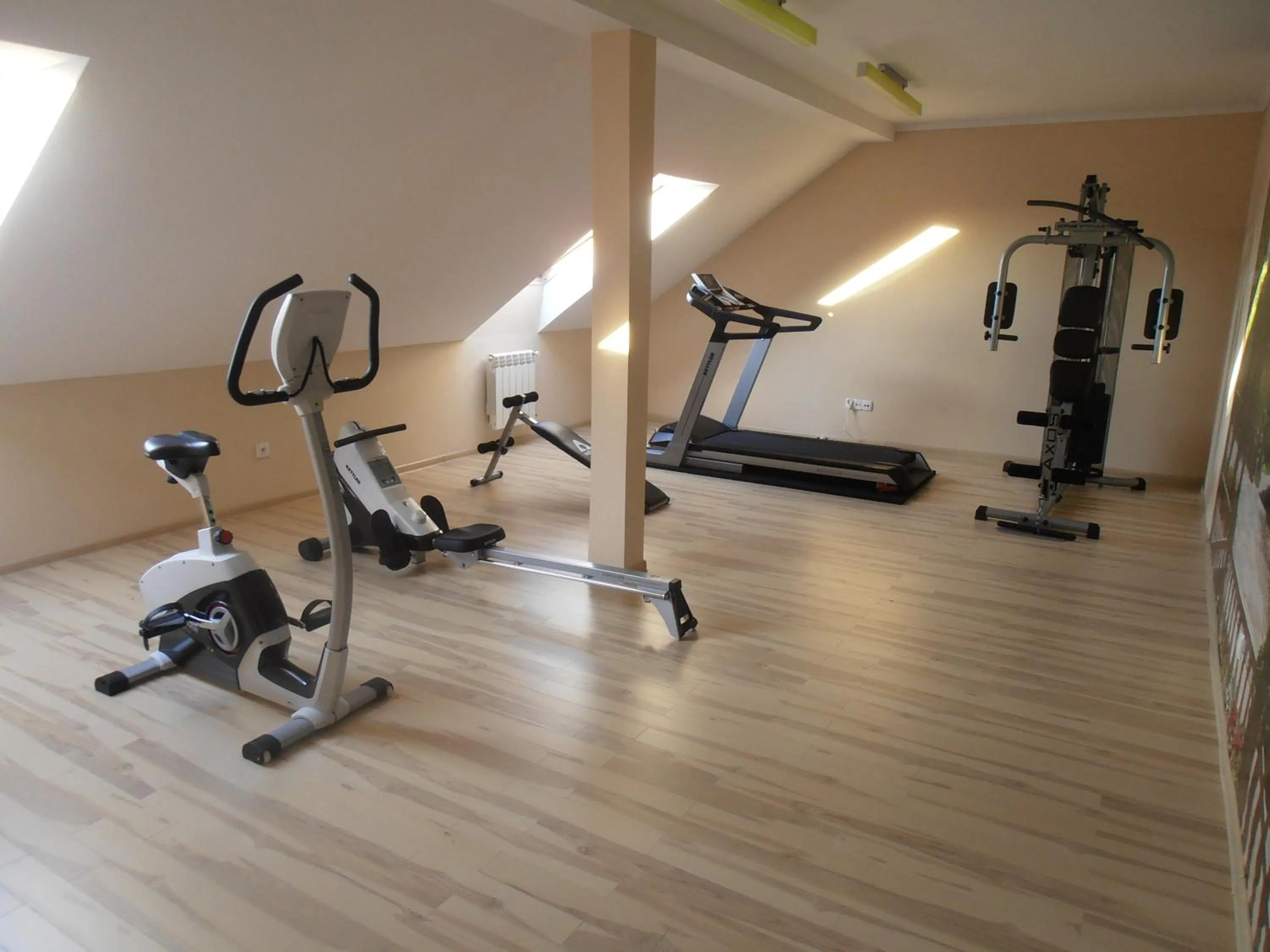 Fitness centre/facilities in Villa Ramzes