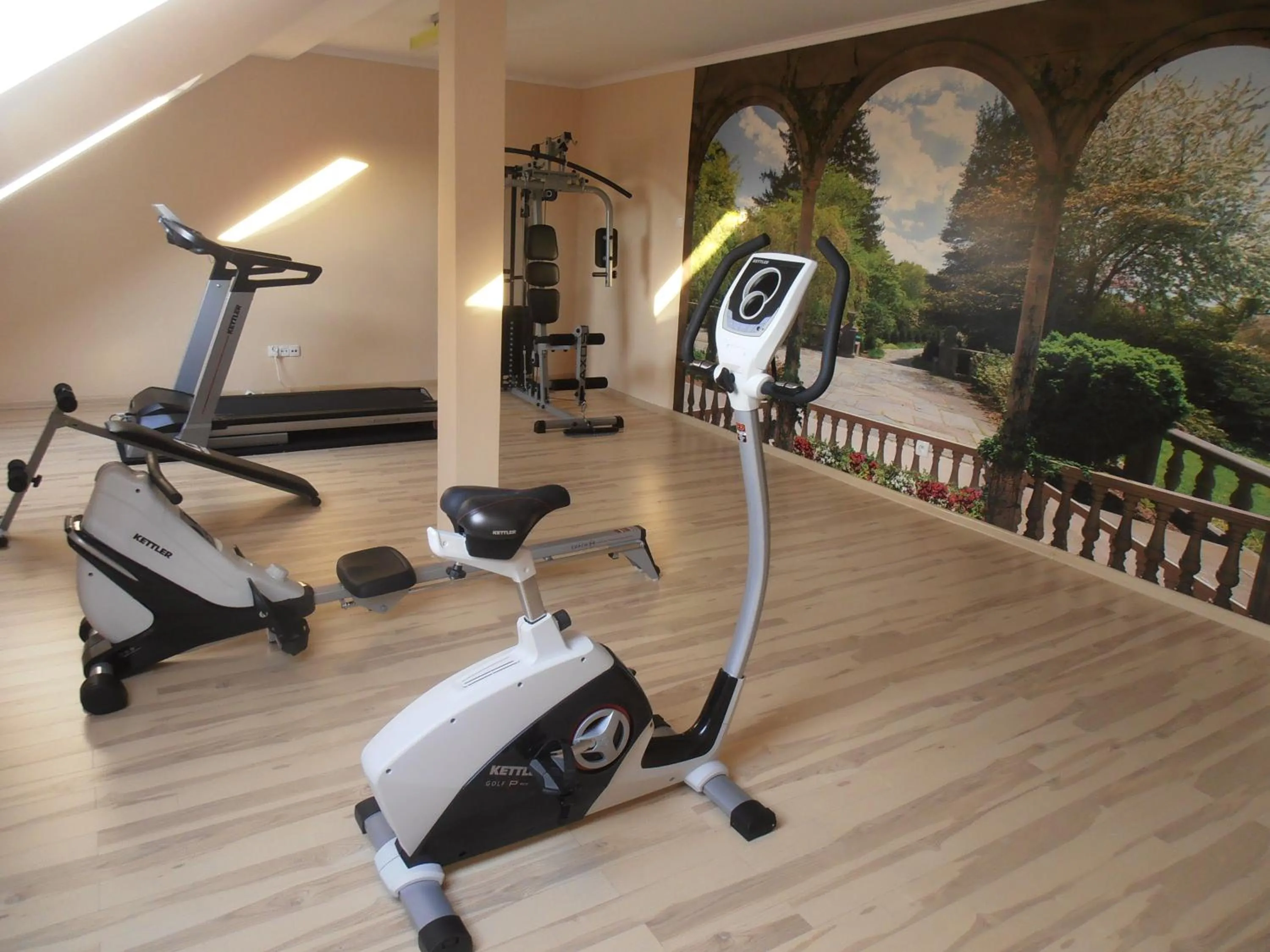 Fitness centre/facilities in Villa Ramzes