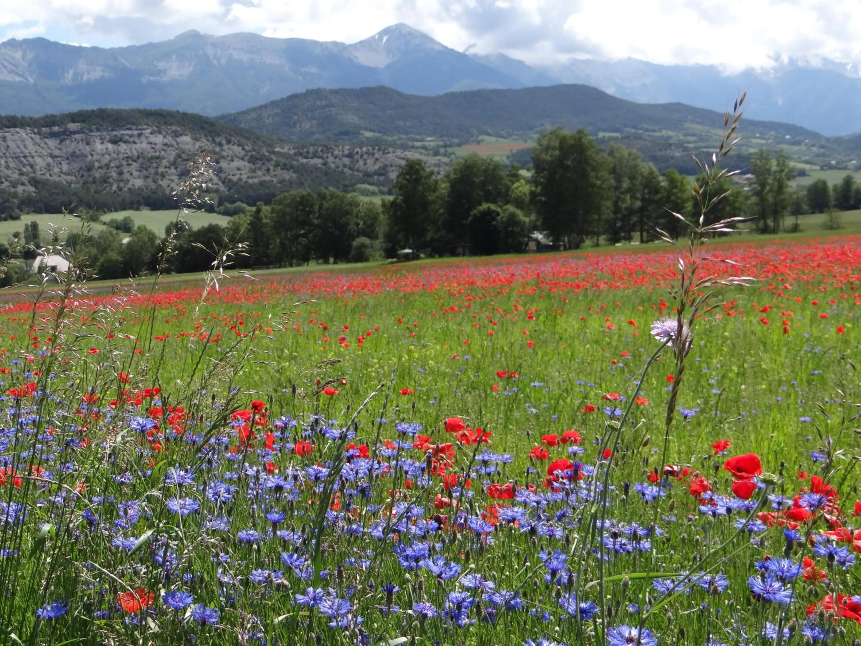 Spring in Hotel - Restaurant Le Blanchon
