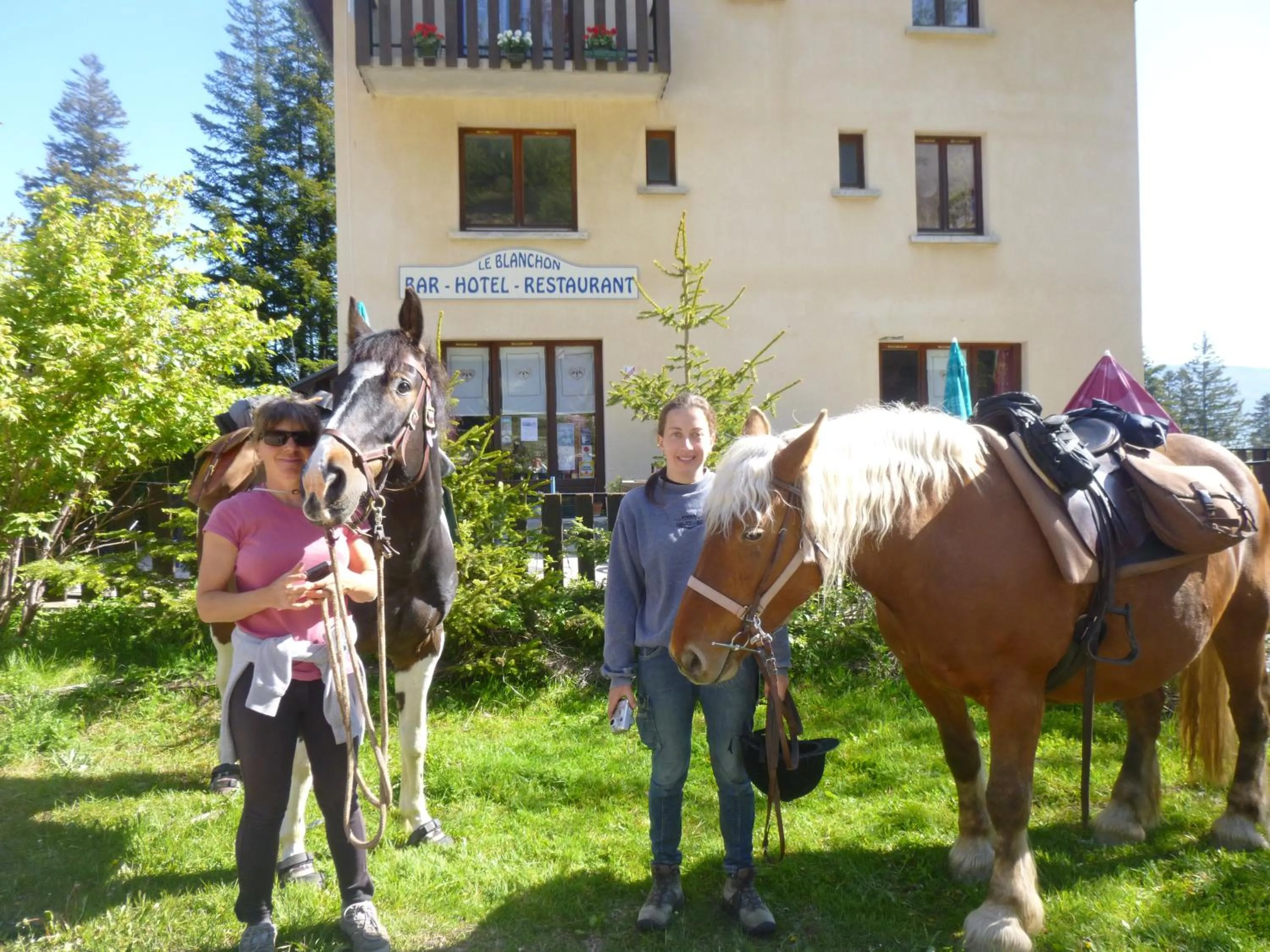 Hotel - Restaurant Le Blanchon
