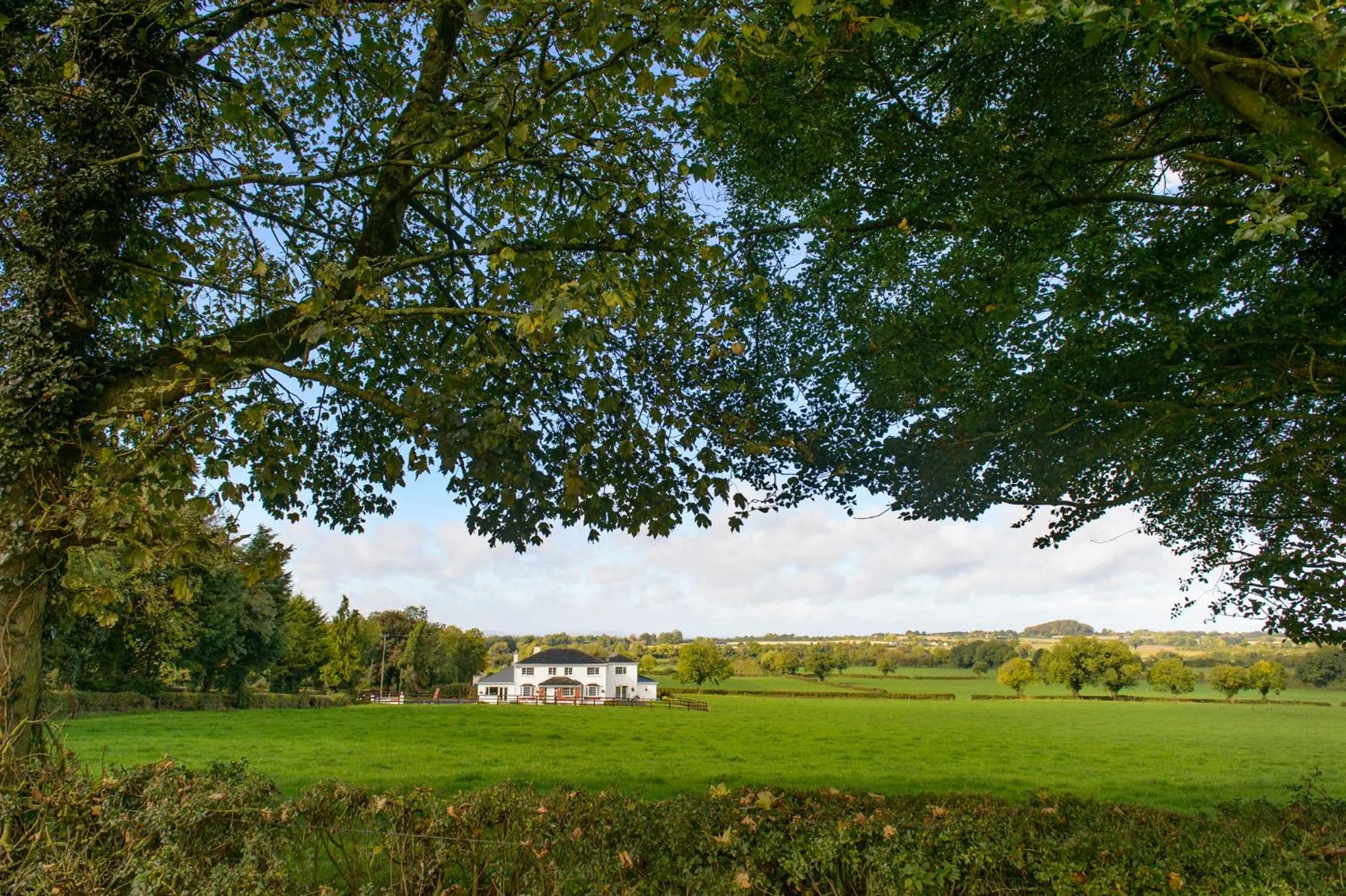 Natural landscape in Ballindrum Farm B&B