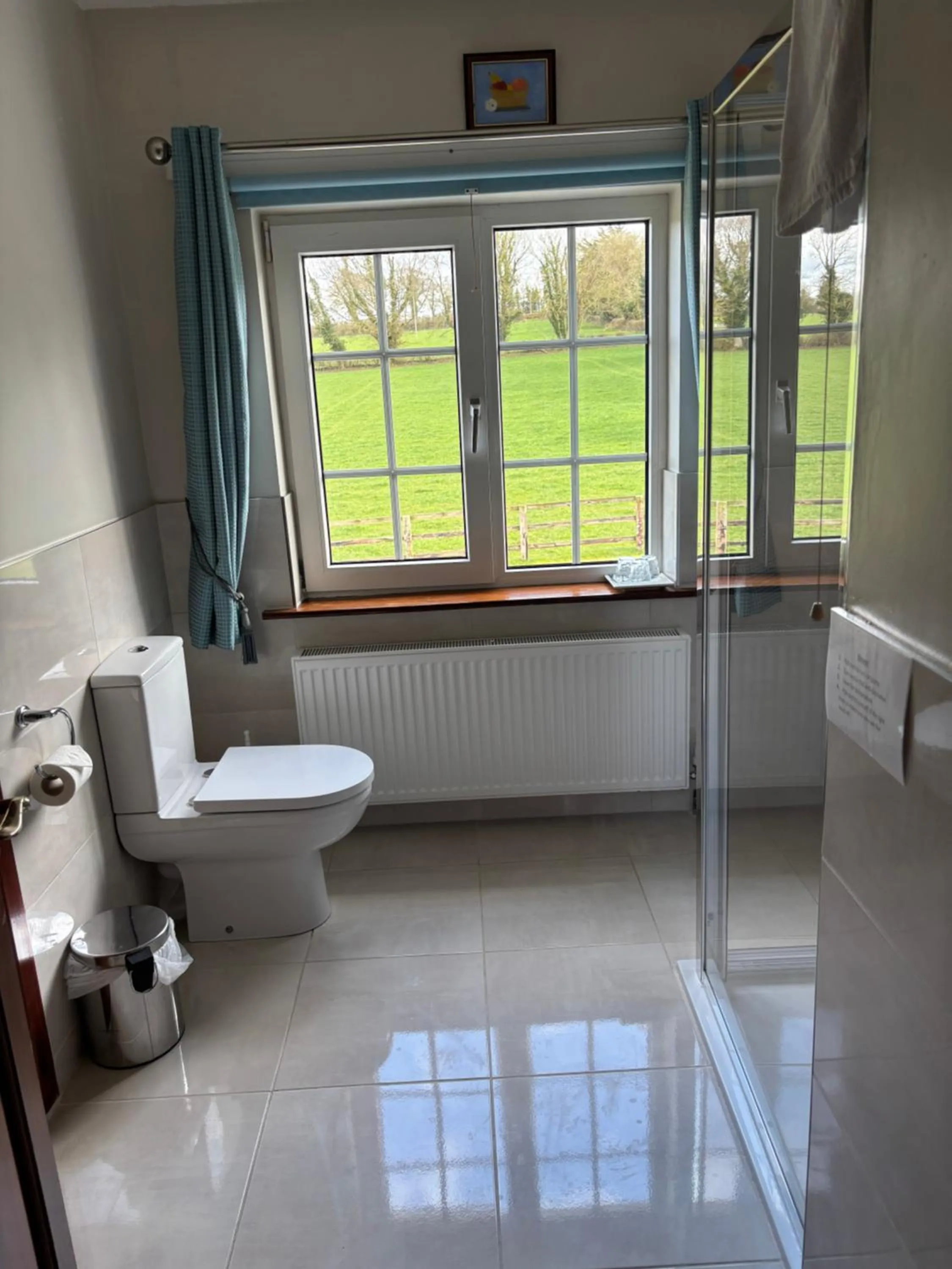 Toilet in Ballindrum Farm B&B