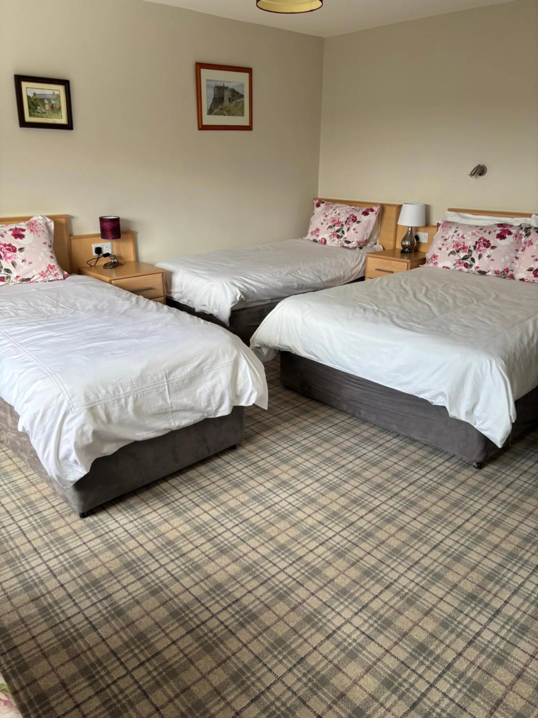 Photo of the whole room, Bed in Ballindrum Farm B&B