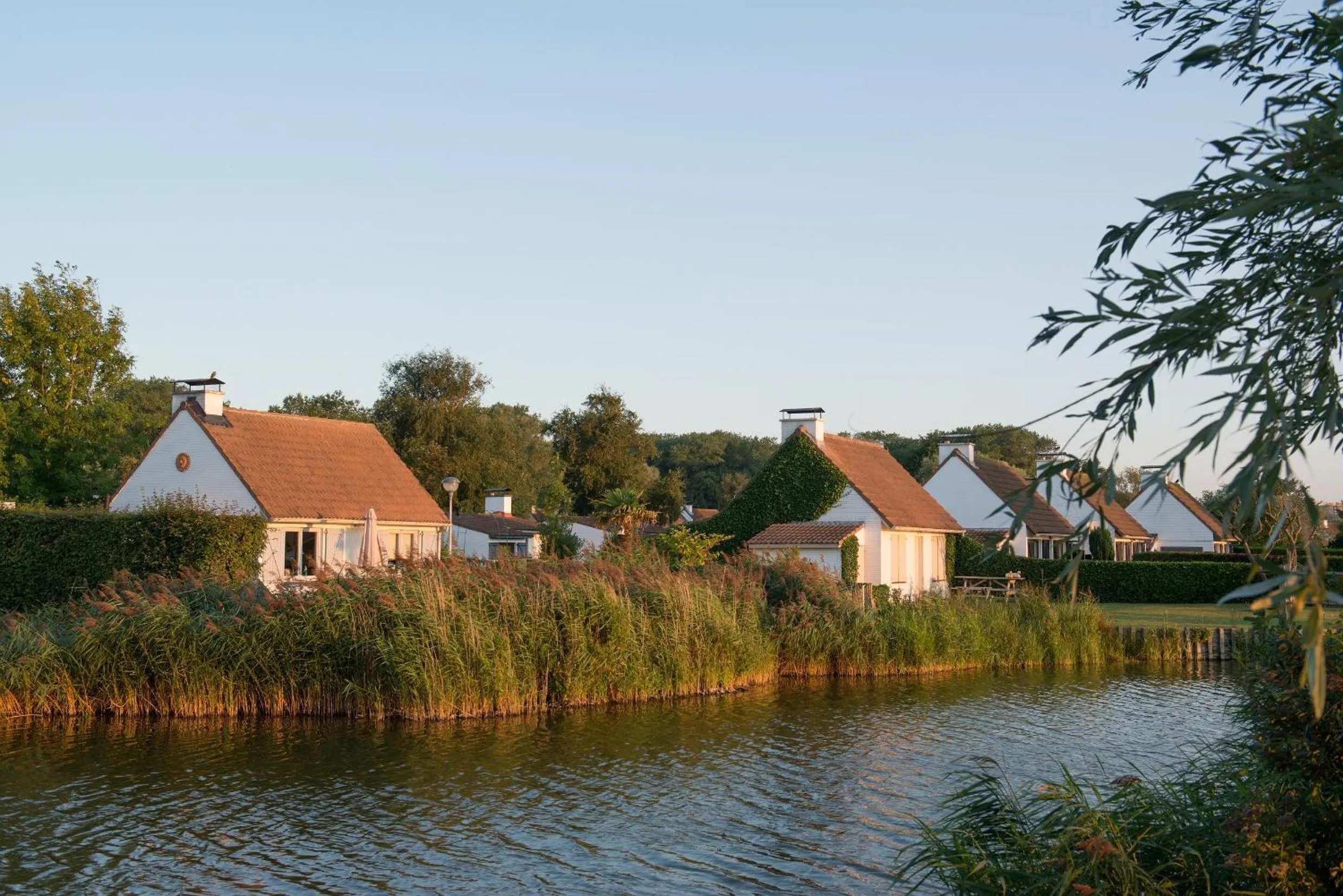 Area and facilities in Sunparks Oostduinkerke - Plopsaland