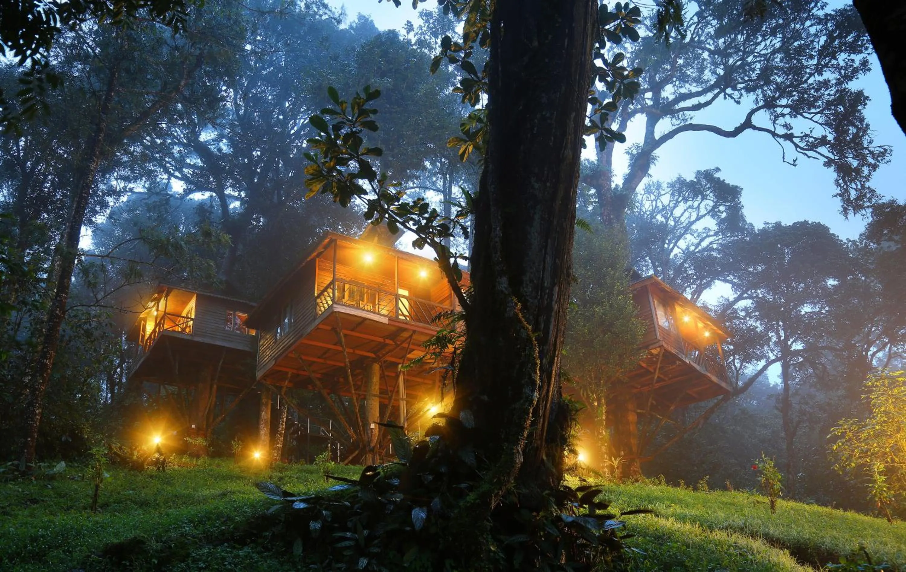 Nature Zone Jungle Resort- Experience the Wilderness & Adventure