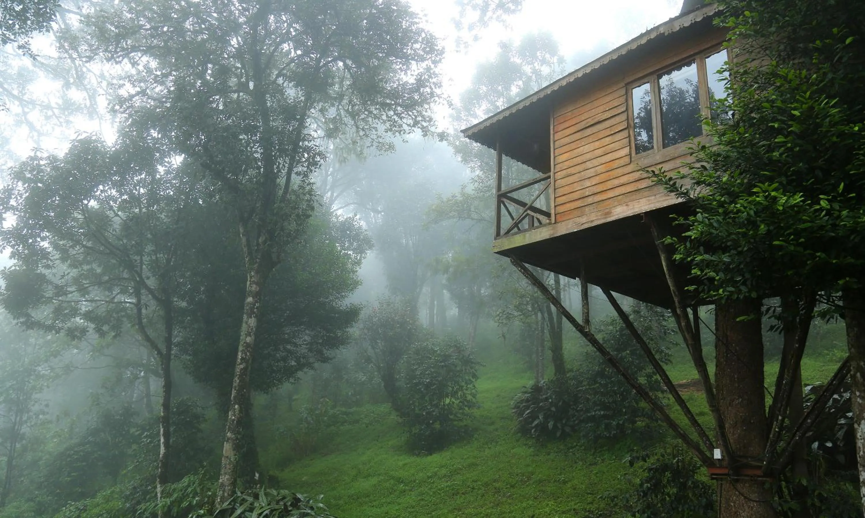 Nature Zone Jungle Resort- Experience the Wilderness & Adventure