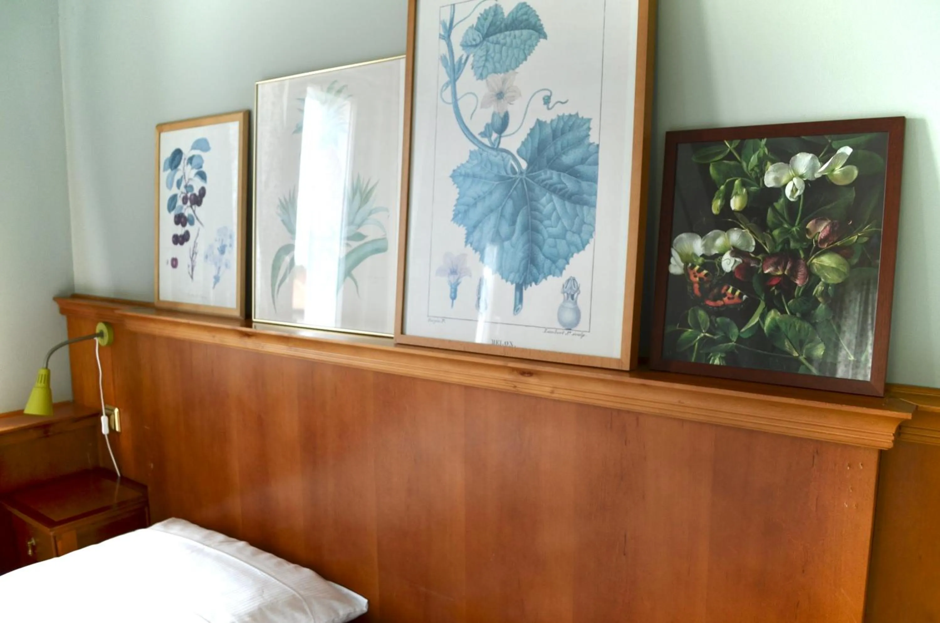 Bed in Bellevue Gastgeberei