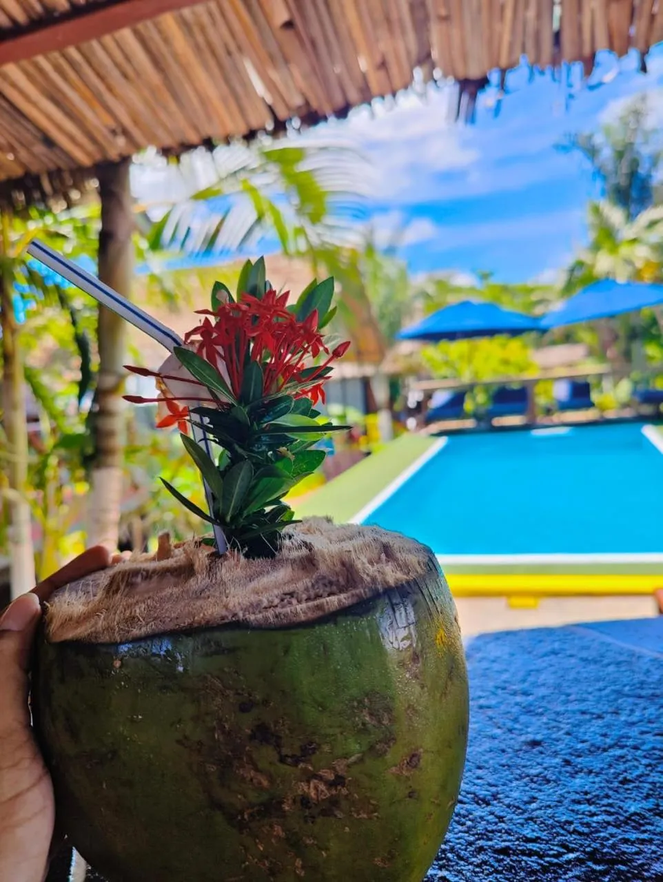 Bungalows des tropiques